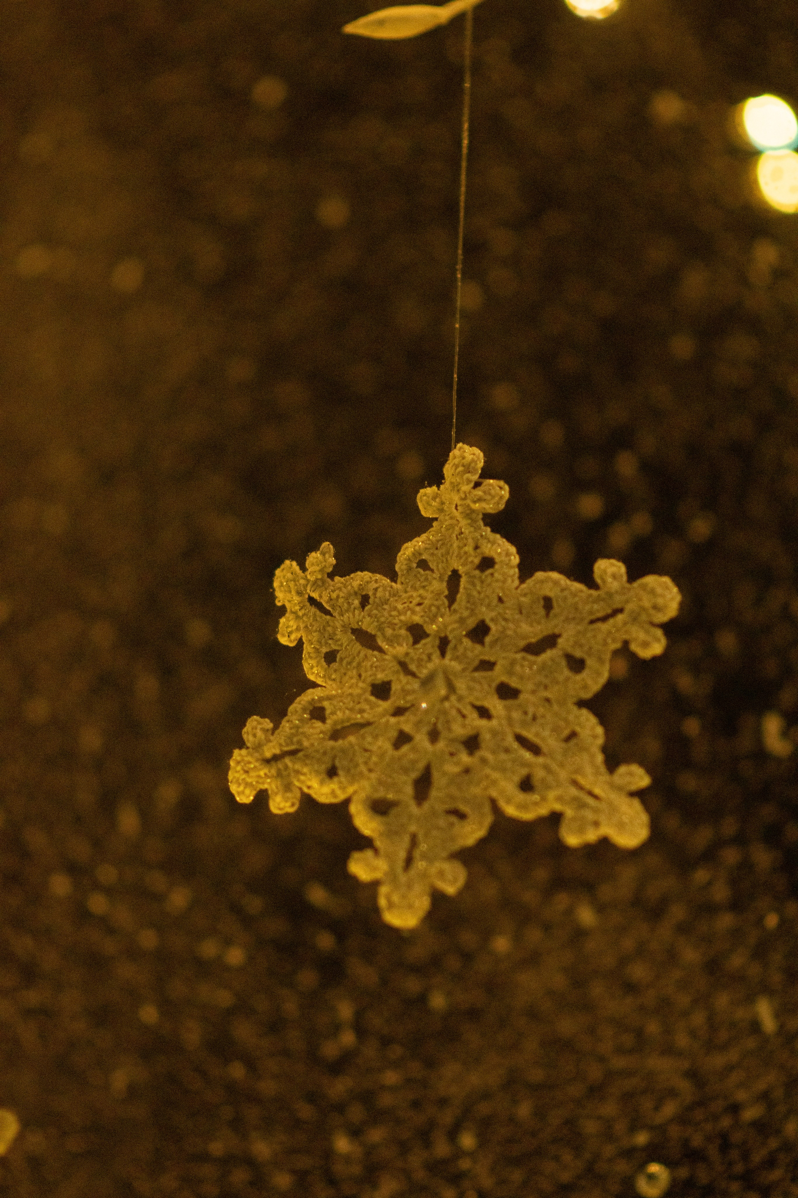 Проект. Семейный и детский фотограф