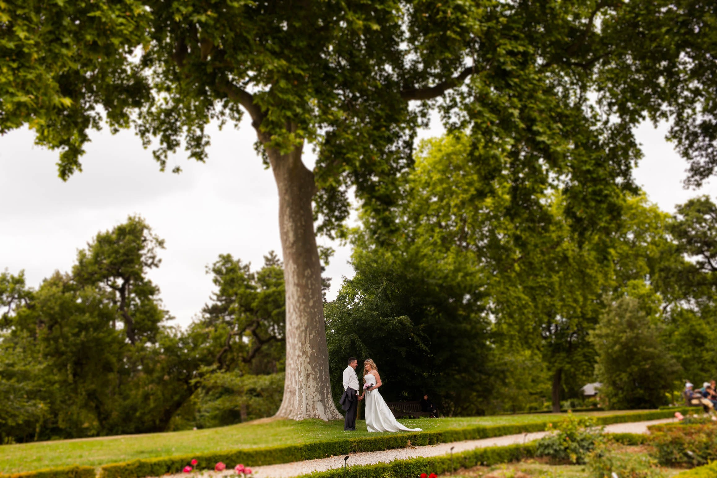 🏀 ALBUM « MARIAGE ». Félix - Photographe professionnel à Paris