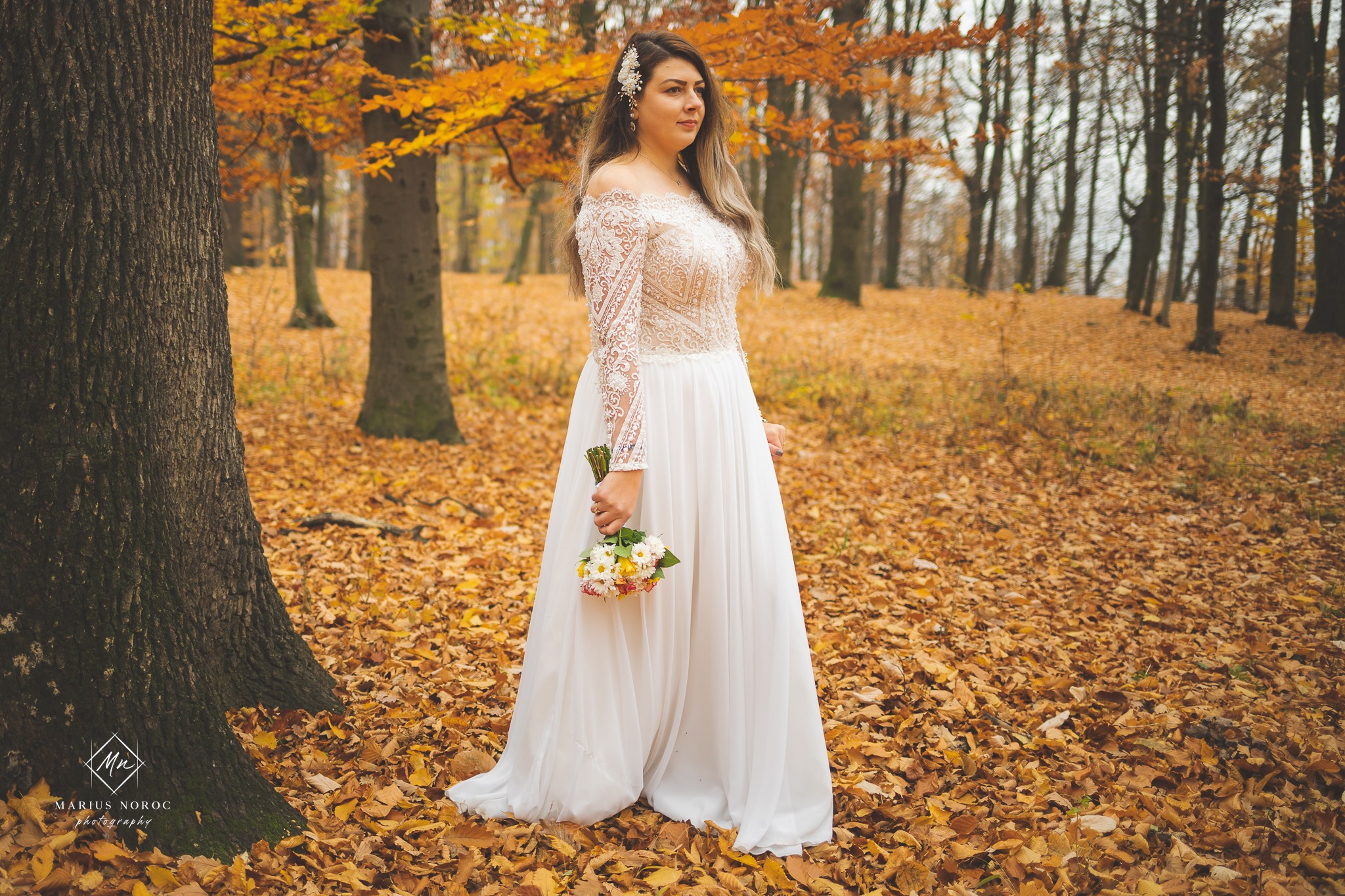 Oana & Daniel | Padurea Bucium Iasi