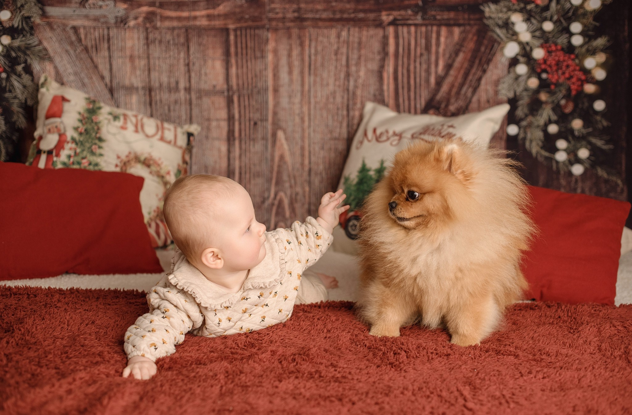 Séance photo Noël Lille
