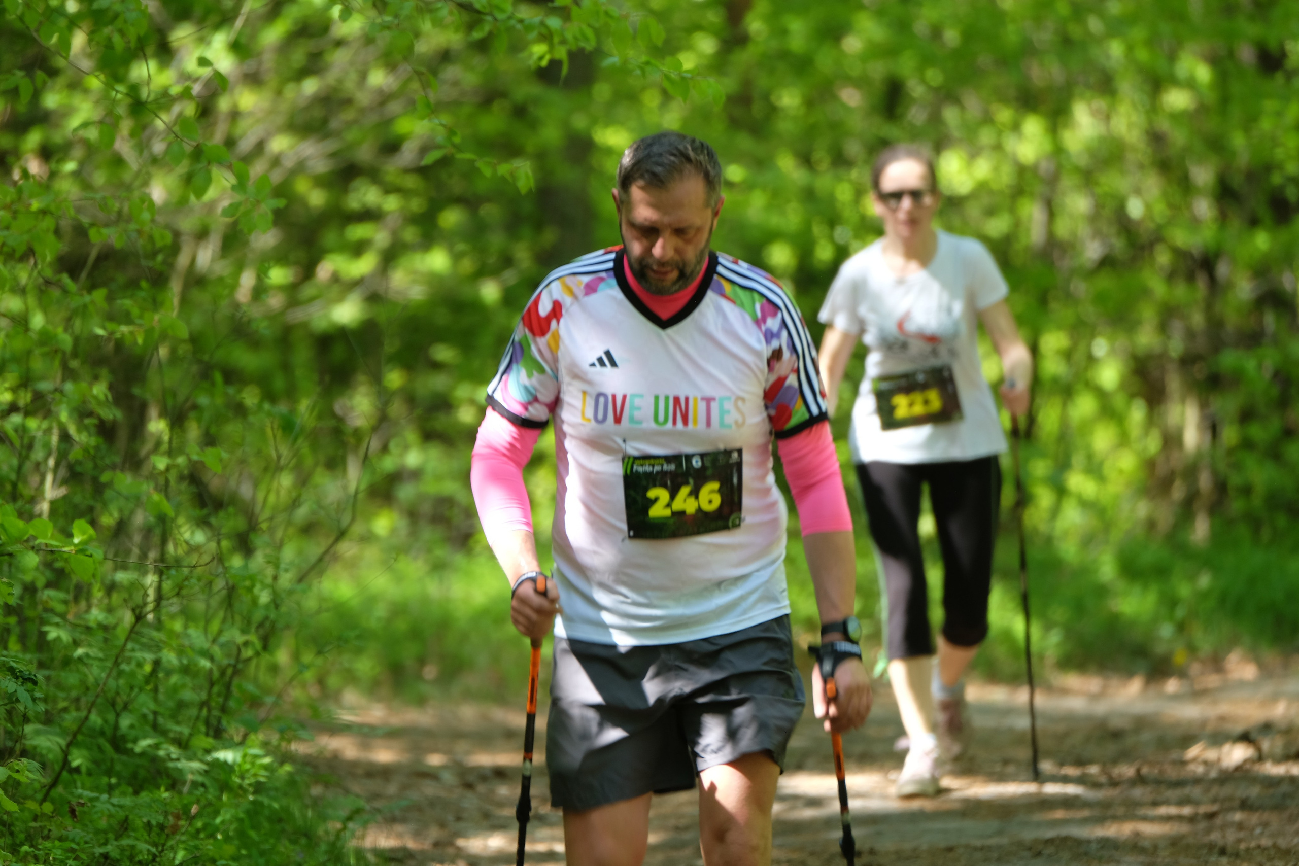 Aleksandryjska Piątka po lesie. Main