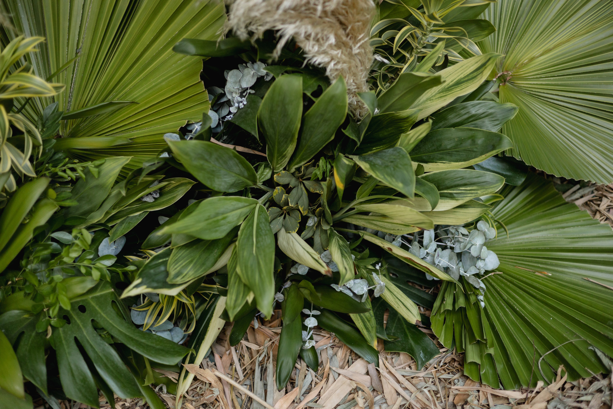 Editorial Dom Brunello