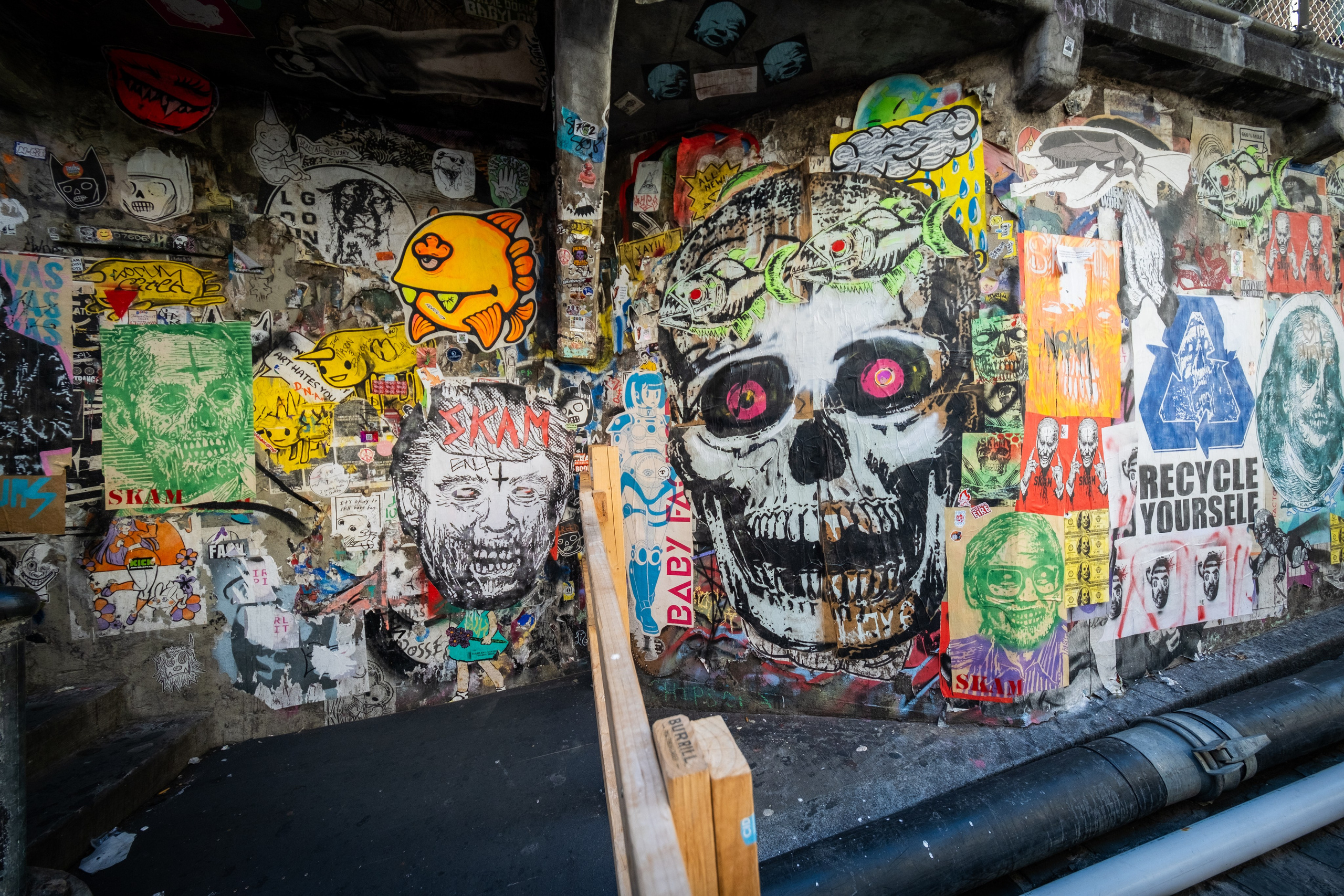 WASHINGTON / SEATTLE. Reportage concert portrait photography in the San Francisco Bay Area