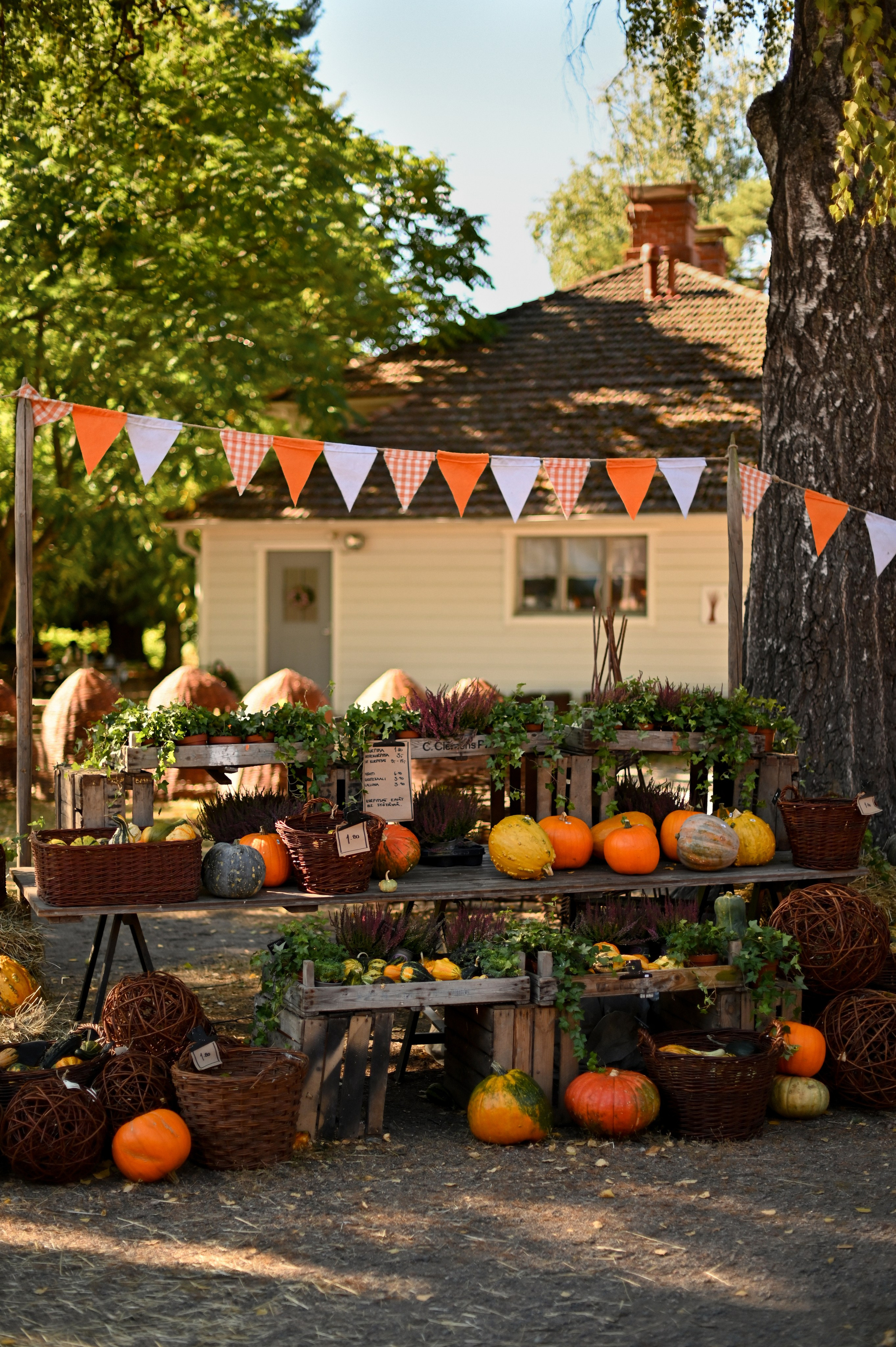 Предметная съемка. Детский и семейный фотограф в финляндии дина пулкка. контент фотограф