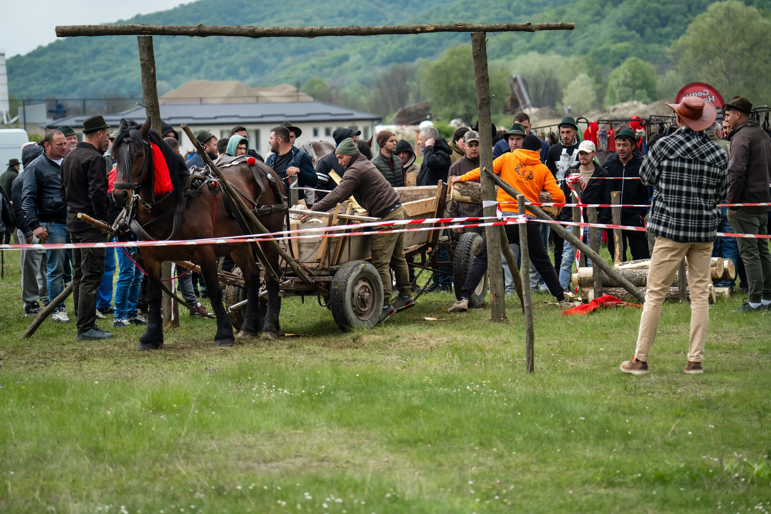 Concurs Ecvestru Vărbilău ediția a 4-a. Mihai Alexandra Events