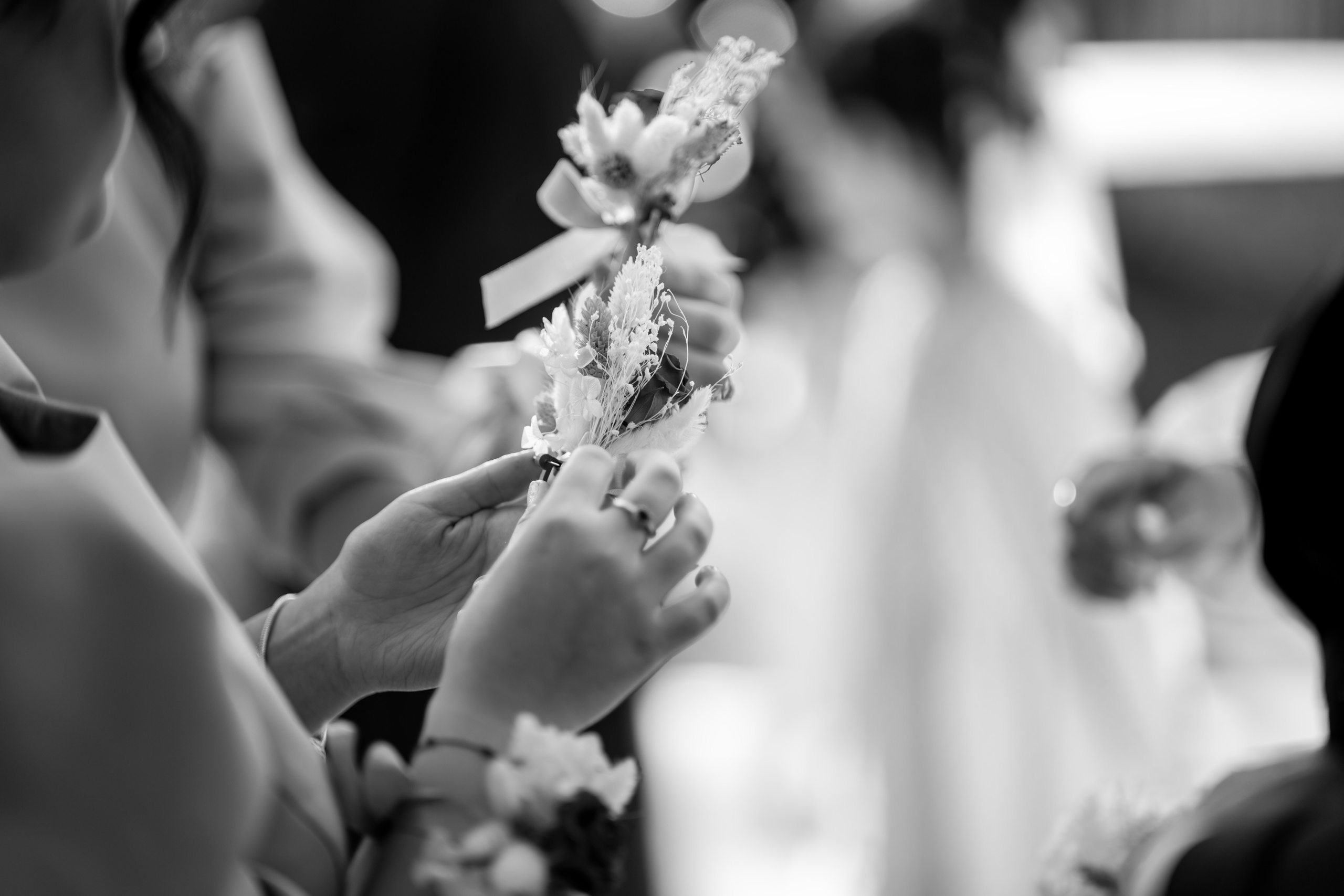Nuntă Loredana & Cosmin. Mihai Alexandra Events