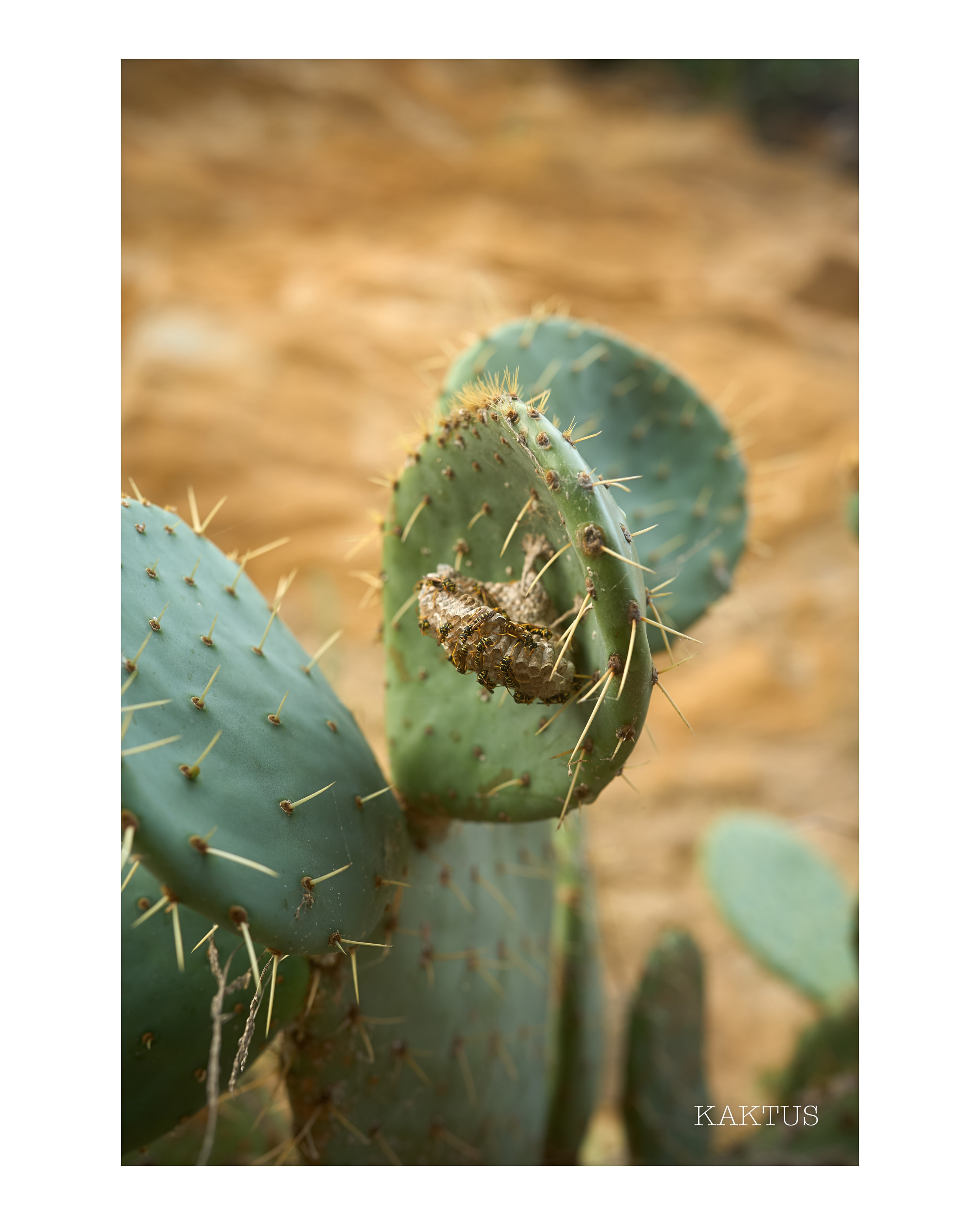 Travel. Visual artist | Fotograf | Stuttgart