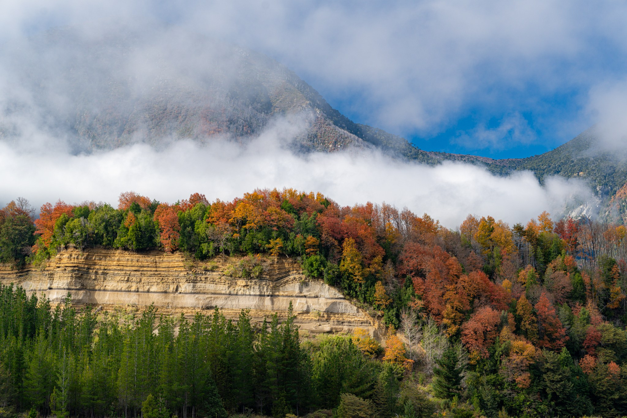 Otoño 2026 en la Araucanía. Fotógrafo de naturaleza en Chile Cristian Larrere Worner