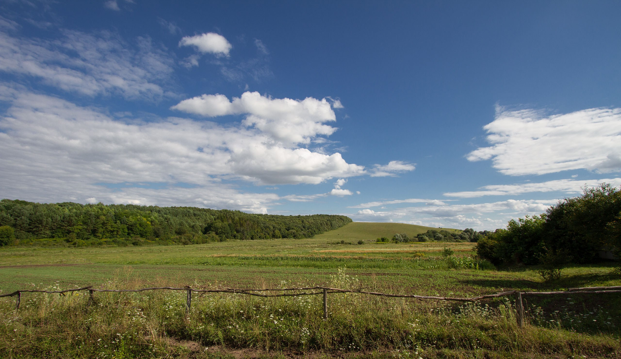 Пейзаж. Фотограф Игорь Баранюк