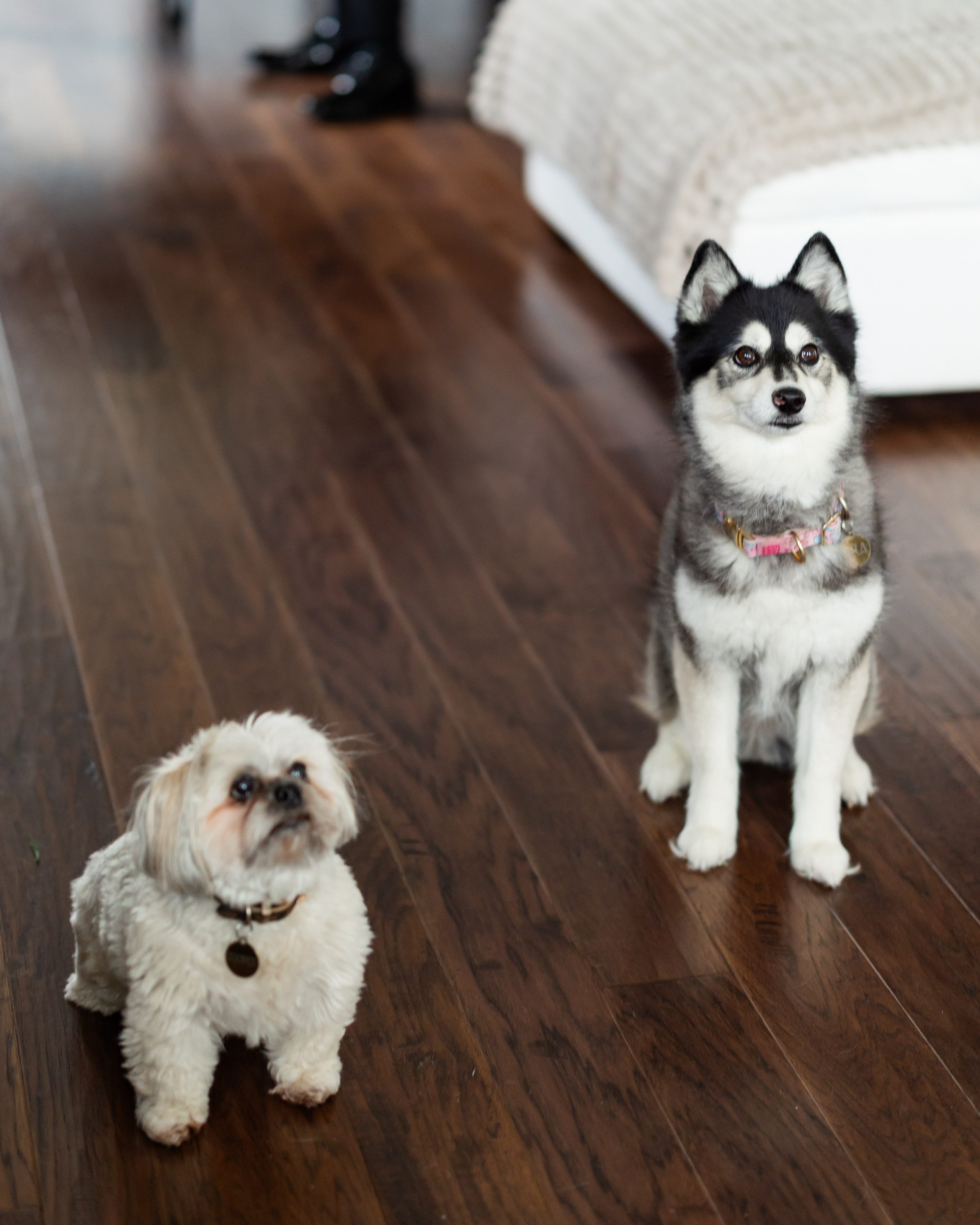 Alexa & Darren. Wedding Photo & Video