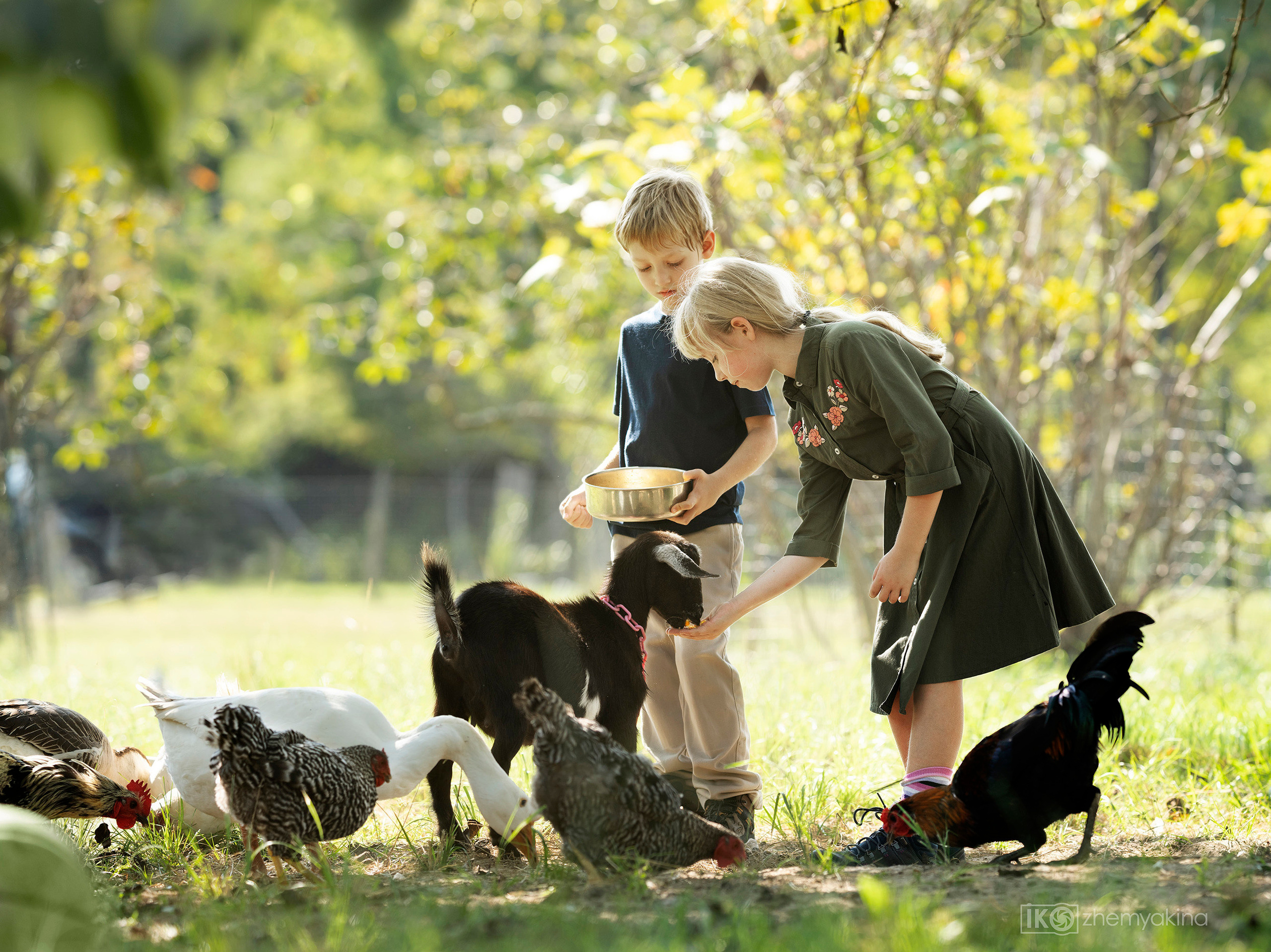On the farm 09-13-2020. Photographer Irina Kozhemyakina. Houston