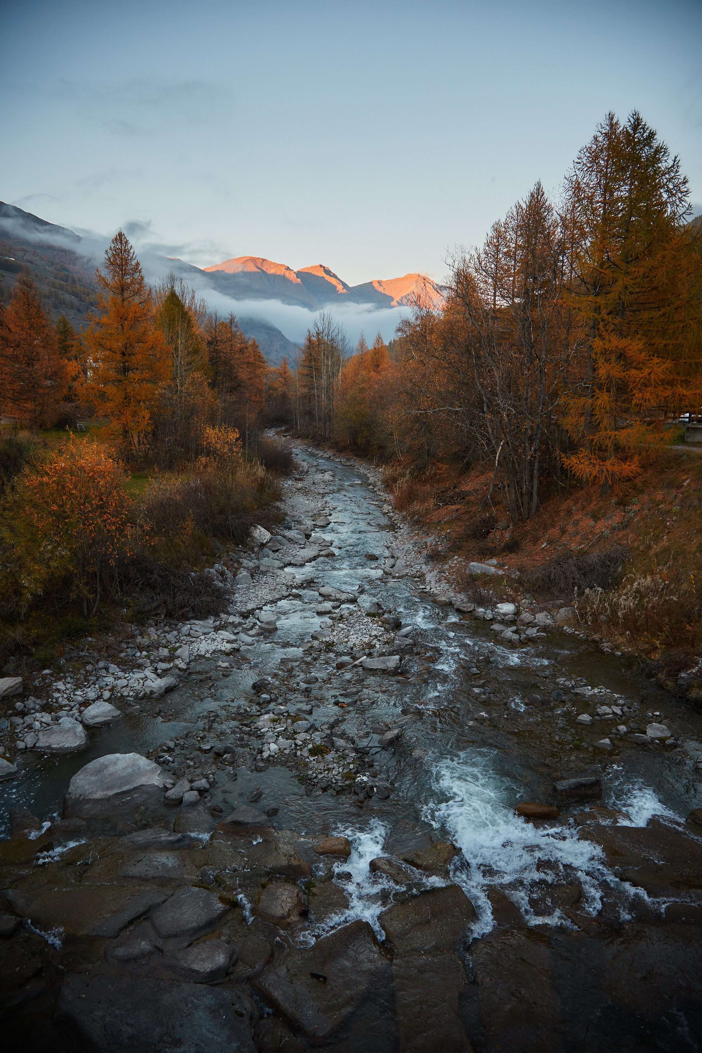 Fotosesii. Fotograf de Nuntă | Familie | Portret - Iulian Doroganici