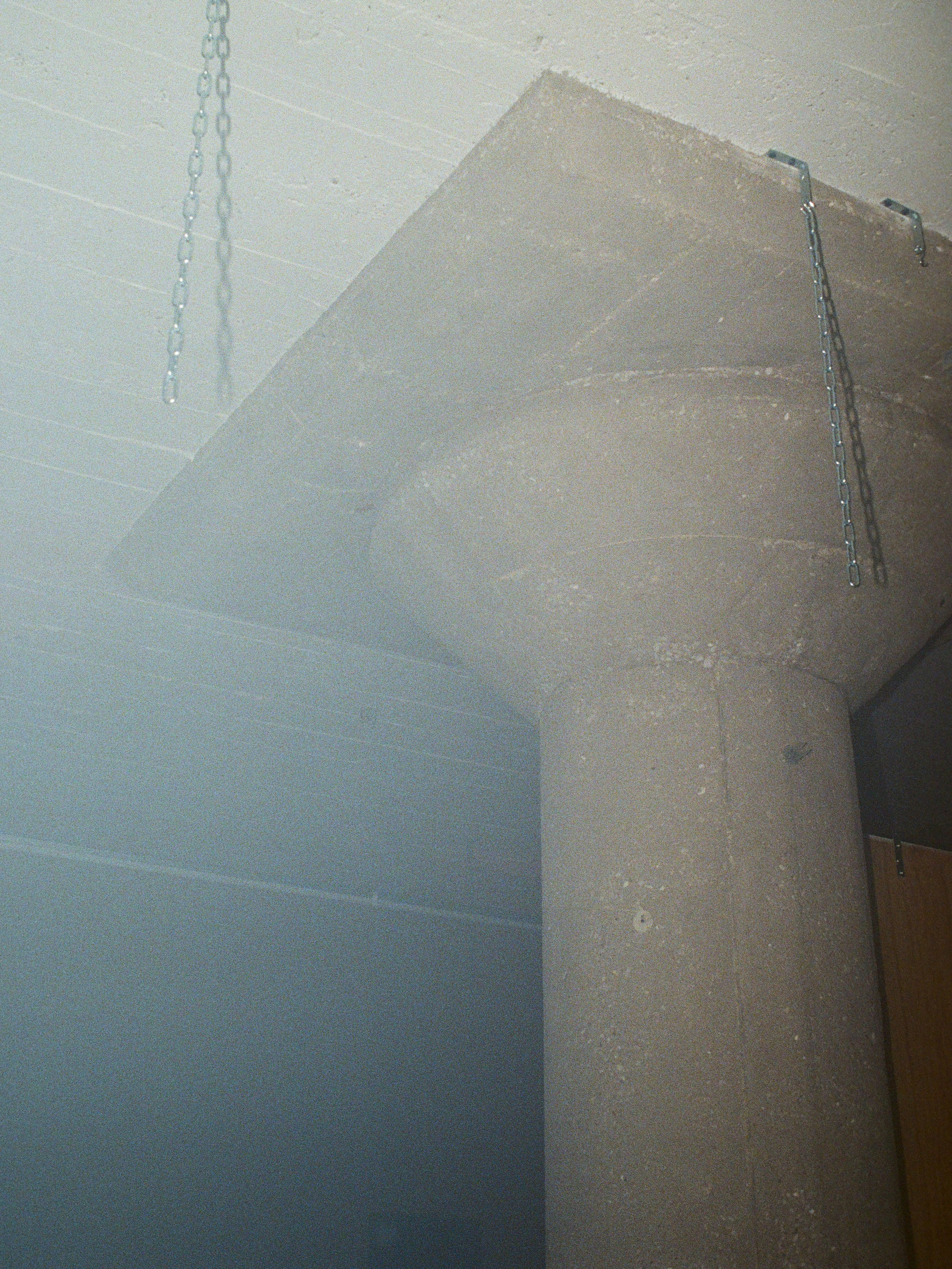 Stem Studio 001. 35mm Photography by Brad Zgonena based in Chicago, IL