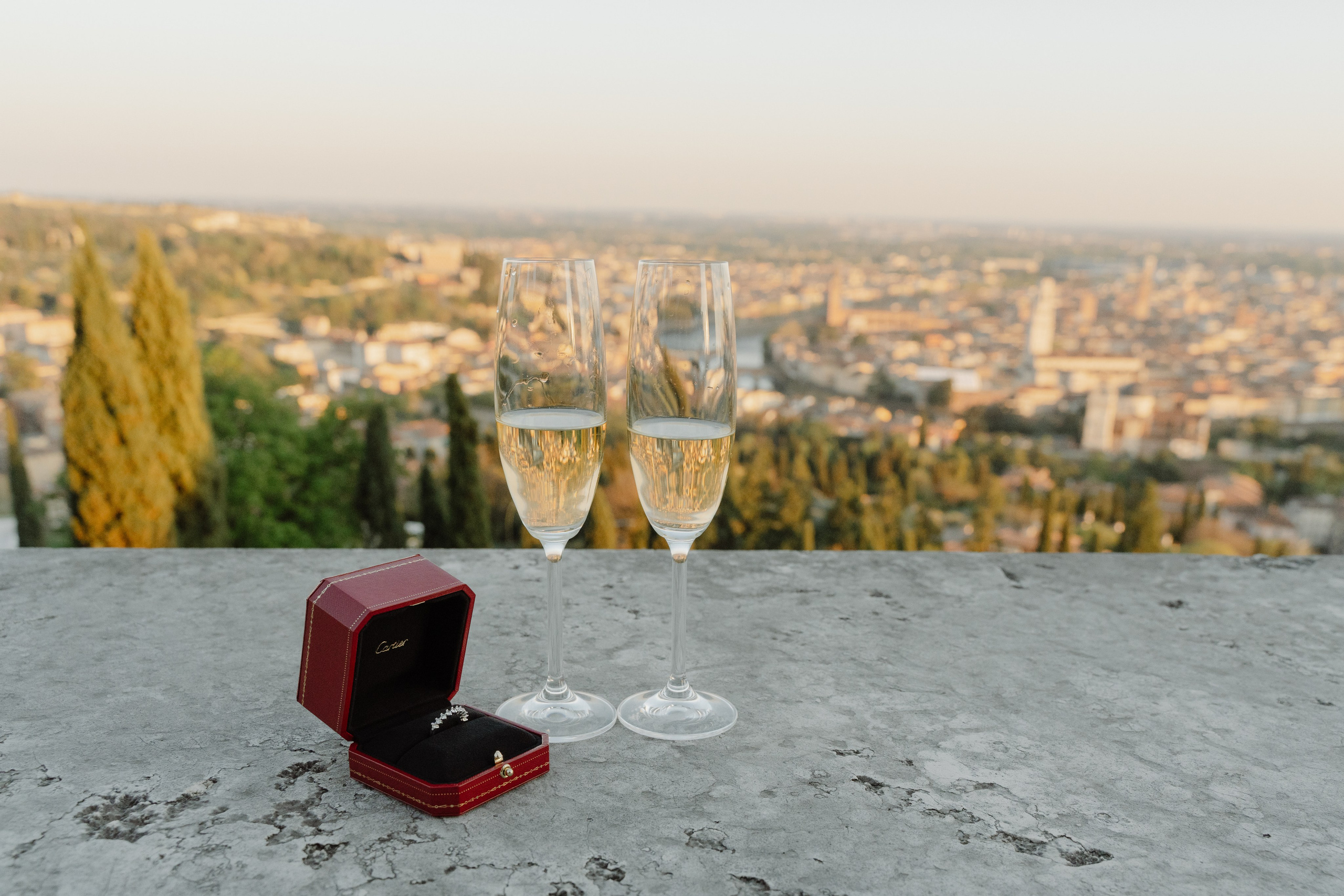 J & C (Verona, Italy). Marriage Proposal Photographer in Verona & Lake Garda | Diana Fedrigo