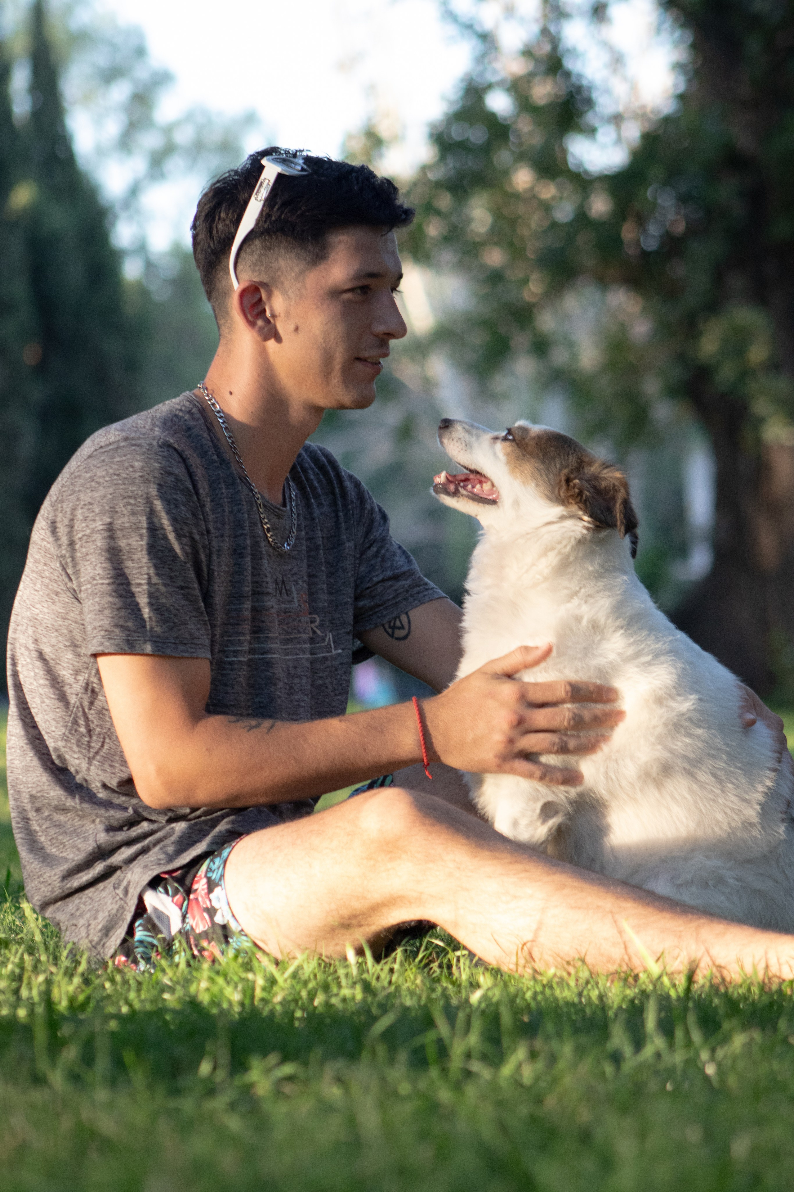 fotógrafo de mascotas en mendoza