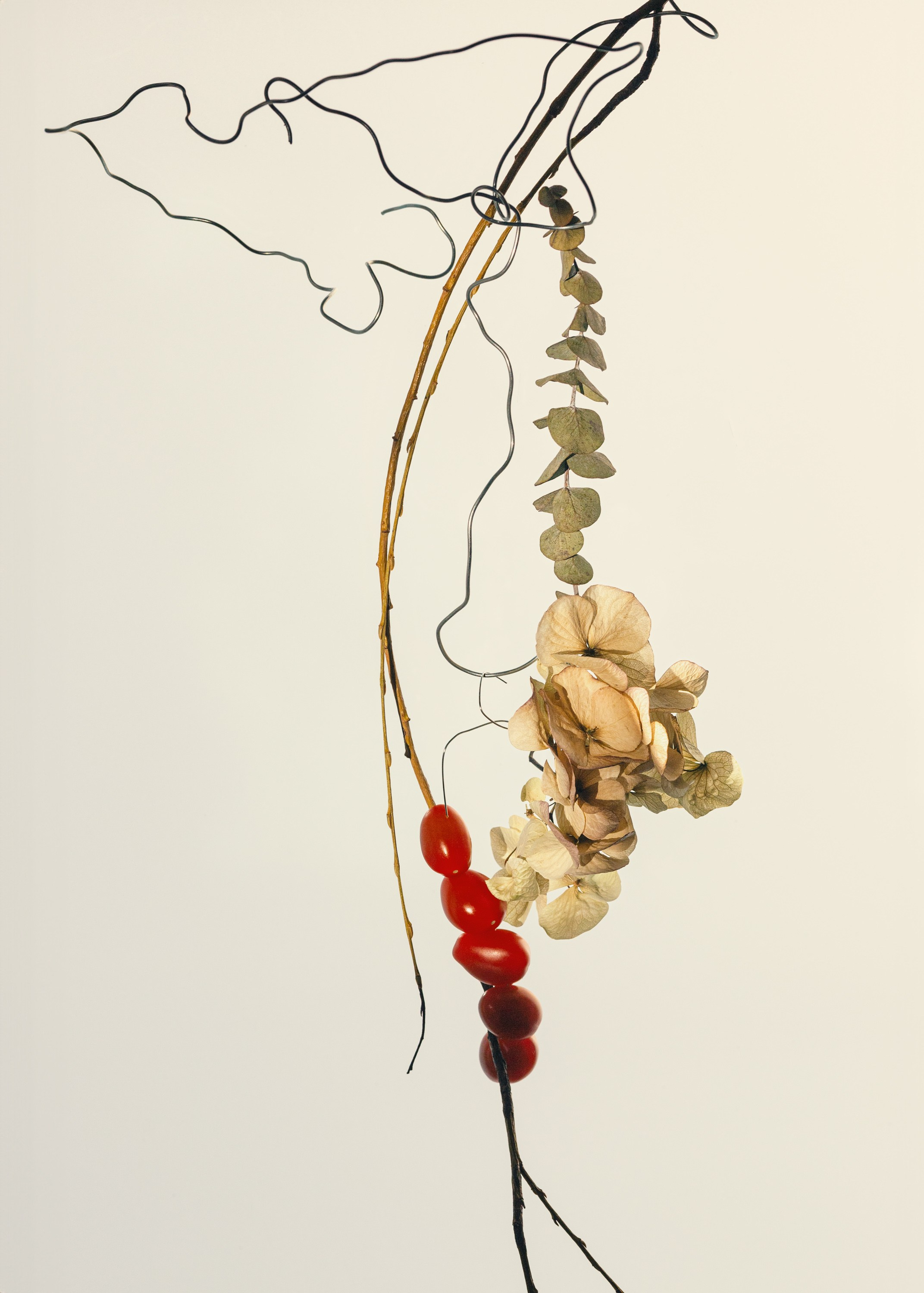 Marina Tsaregorodtseva Fine Art photographer, London