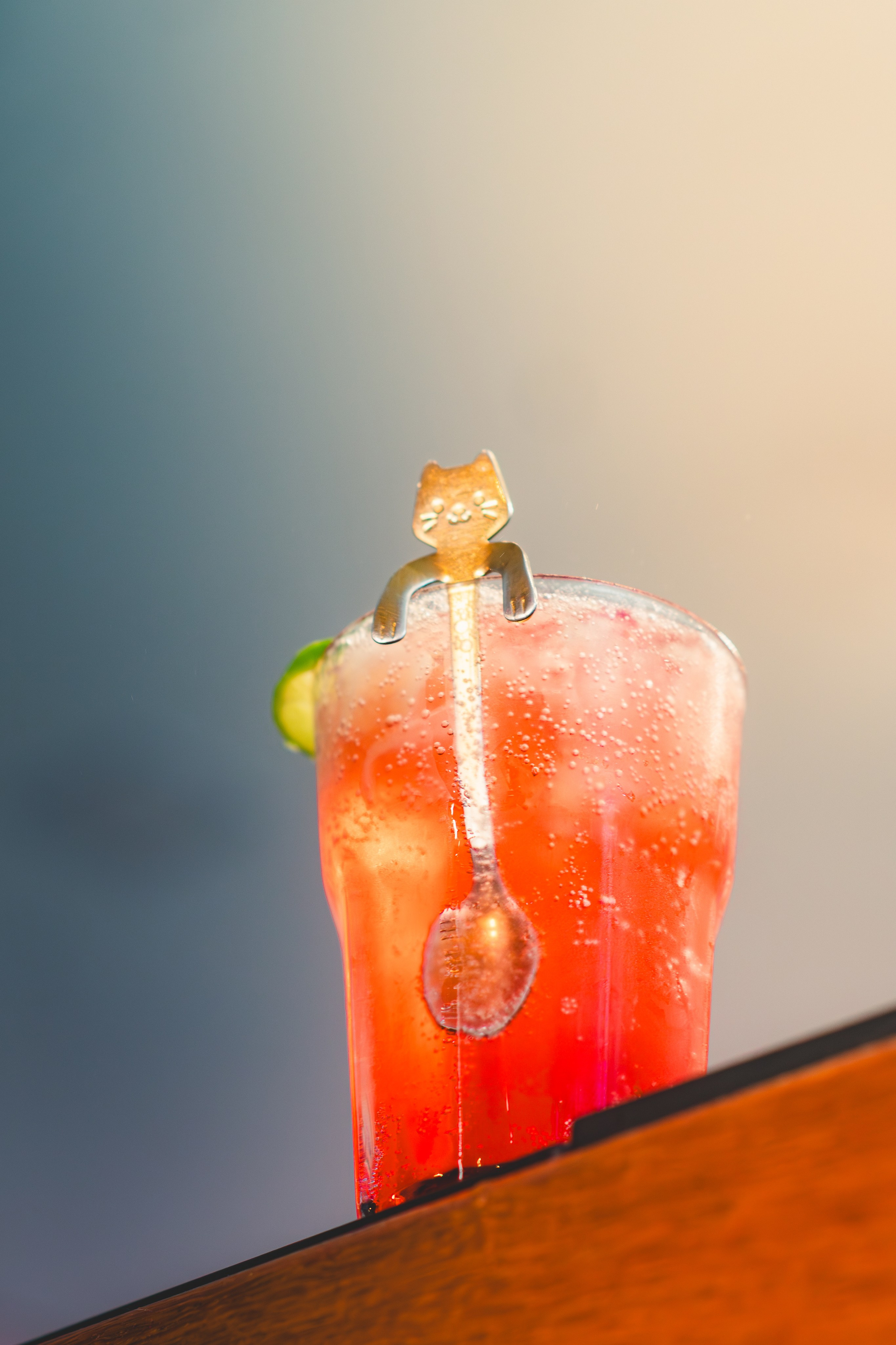 Portfólio Fotografia. Empresa de AudioVisual