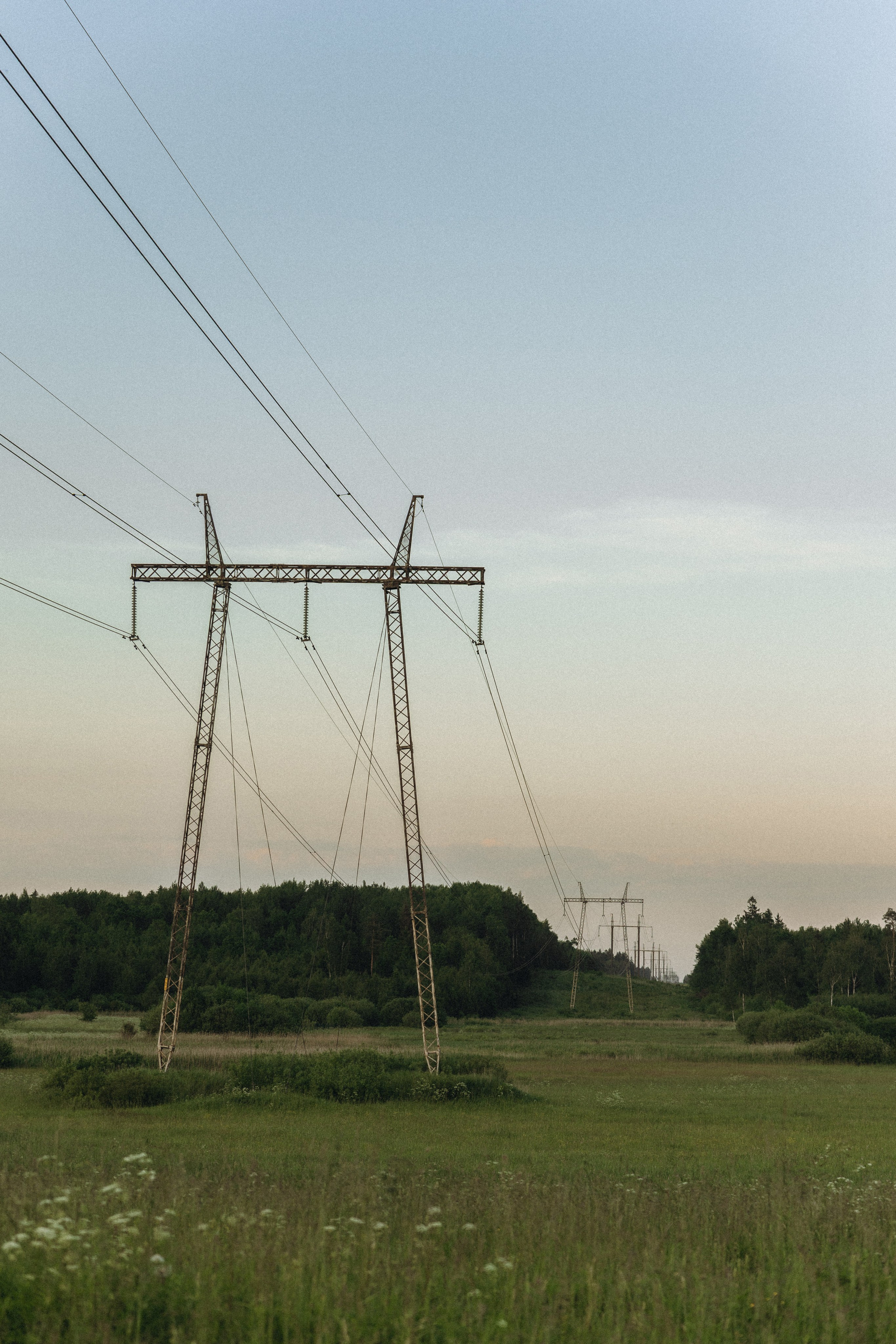 Lera & Maksim | laukimo fotosesija pievoje saulei besileidžiant. Vestuvių ir šeimų fotografė Lena Bondarenko / belove photo