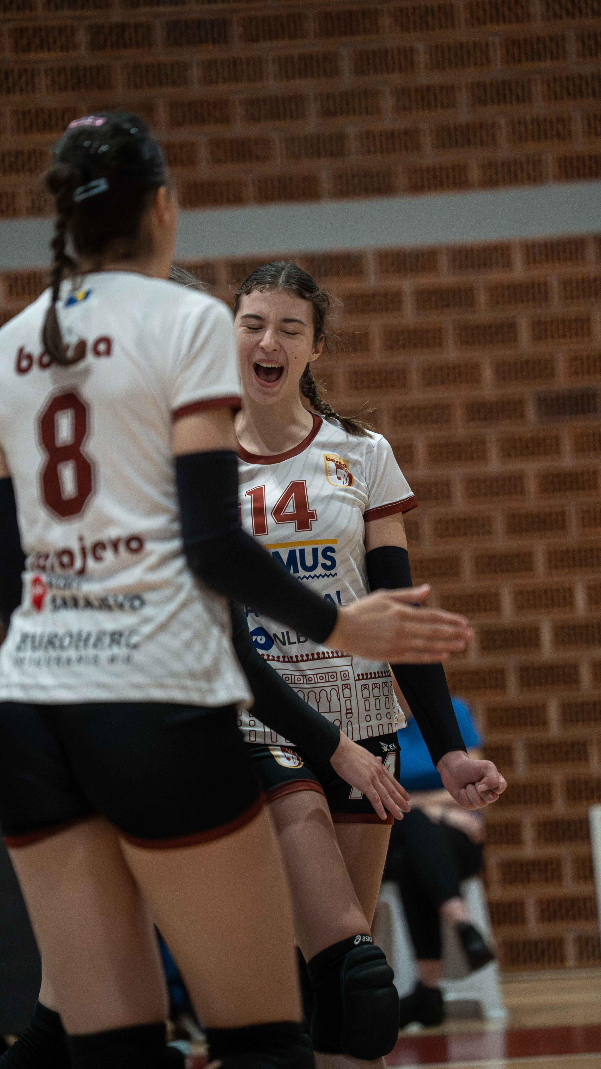 ŽOK Bosna — 2024/2025