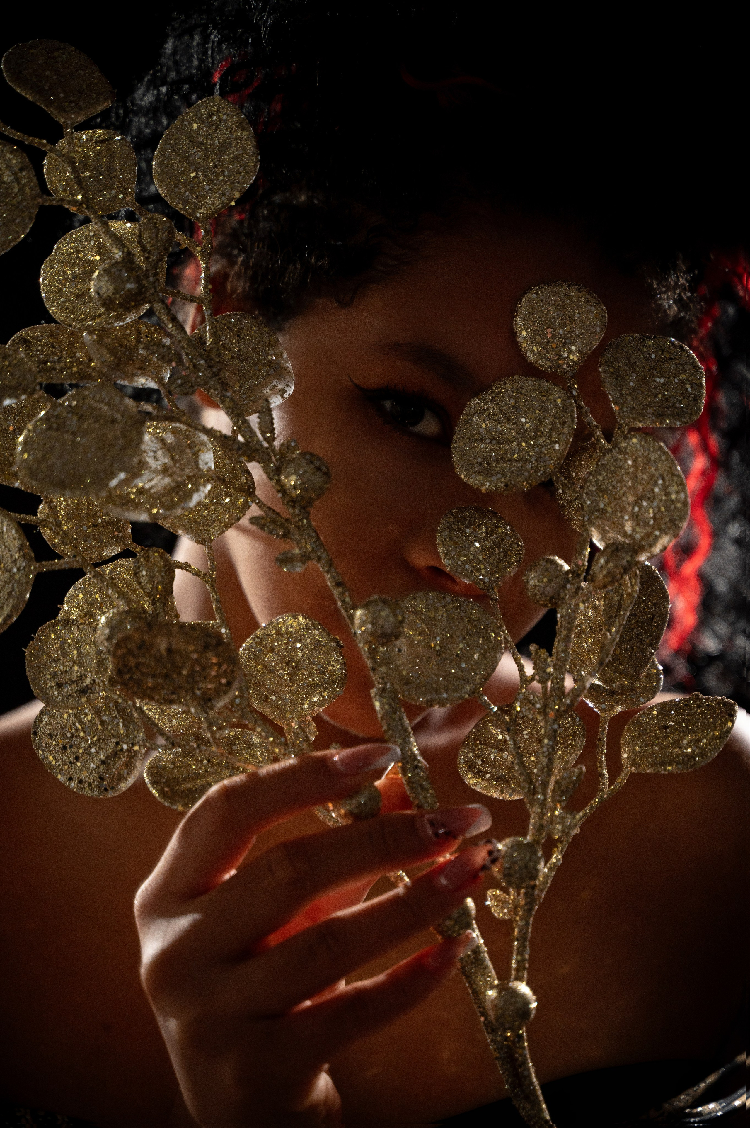 Габриэлла. Sākums