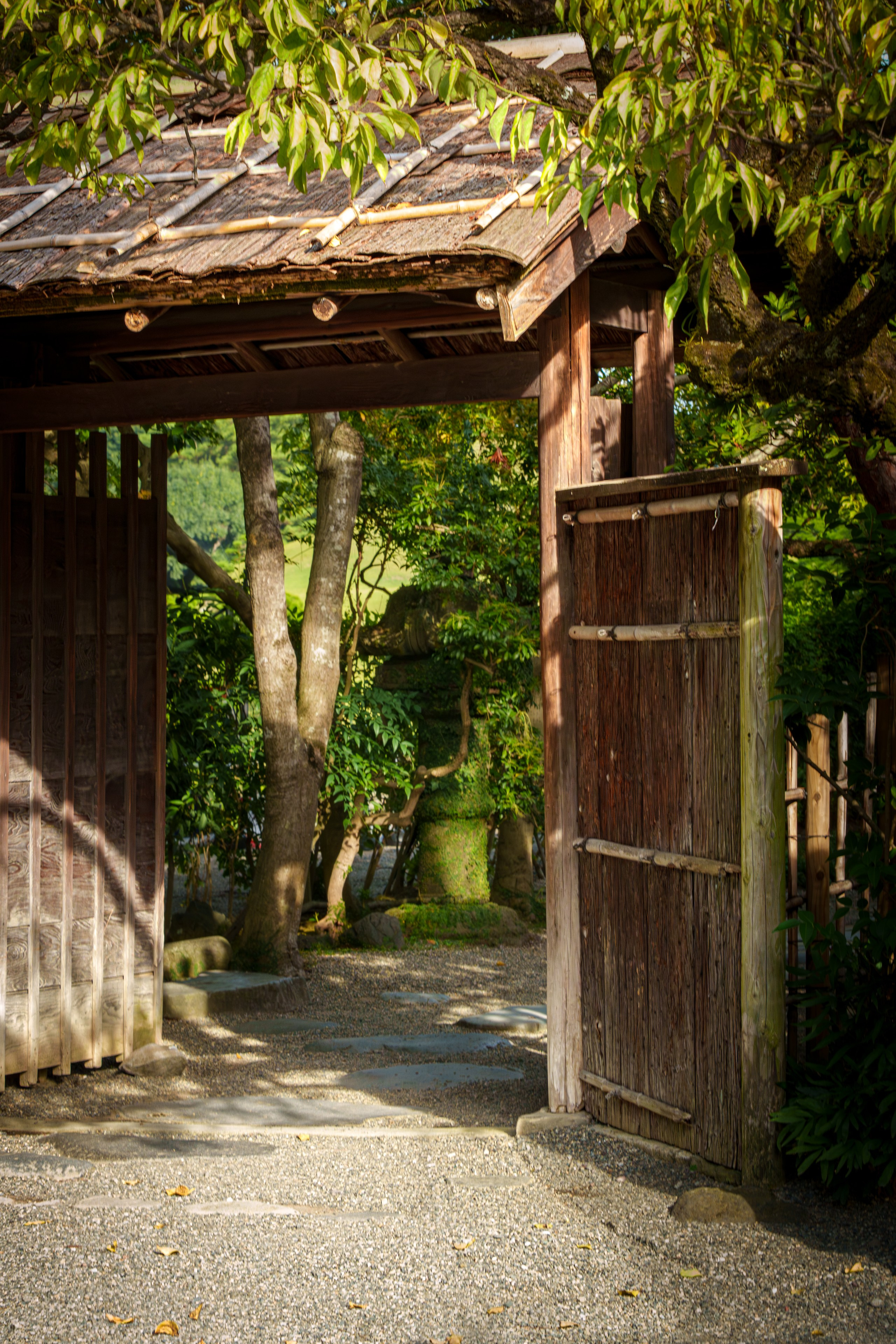 Giardino Giapponese. Olga Manukhina fotografo in Sardegna