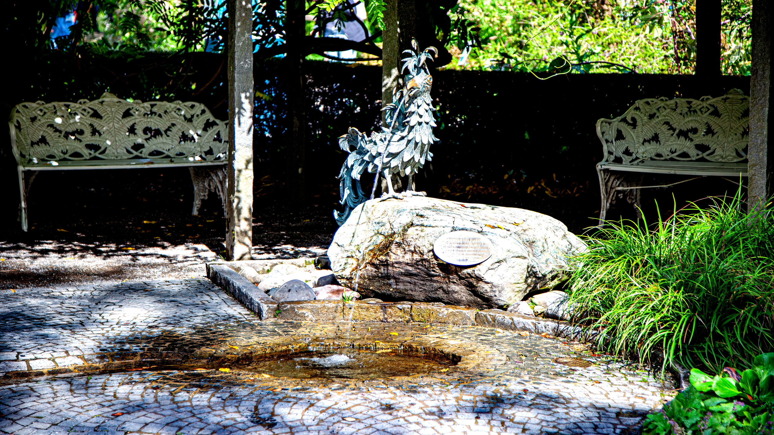 187.Mainau.Germany.24.9.2024. Путешествия в формате 360......