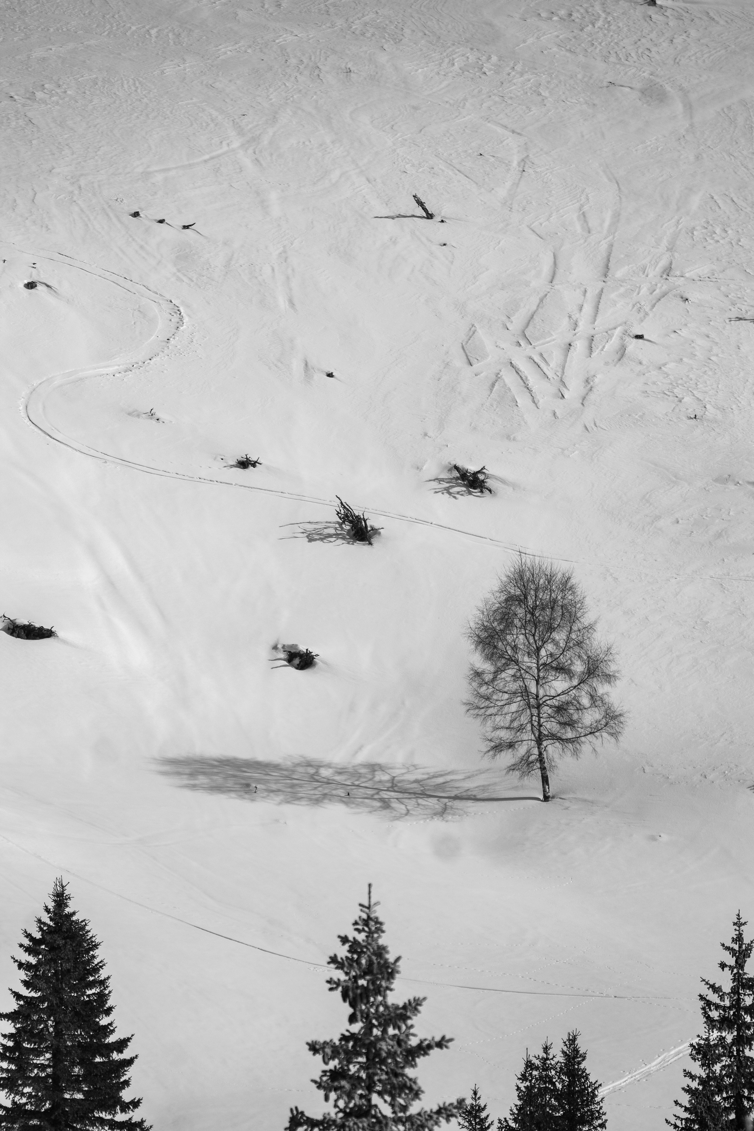 Landscape. Dariussora.ro