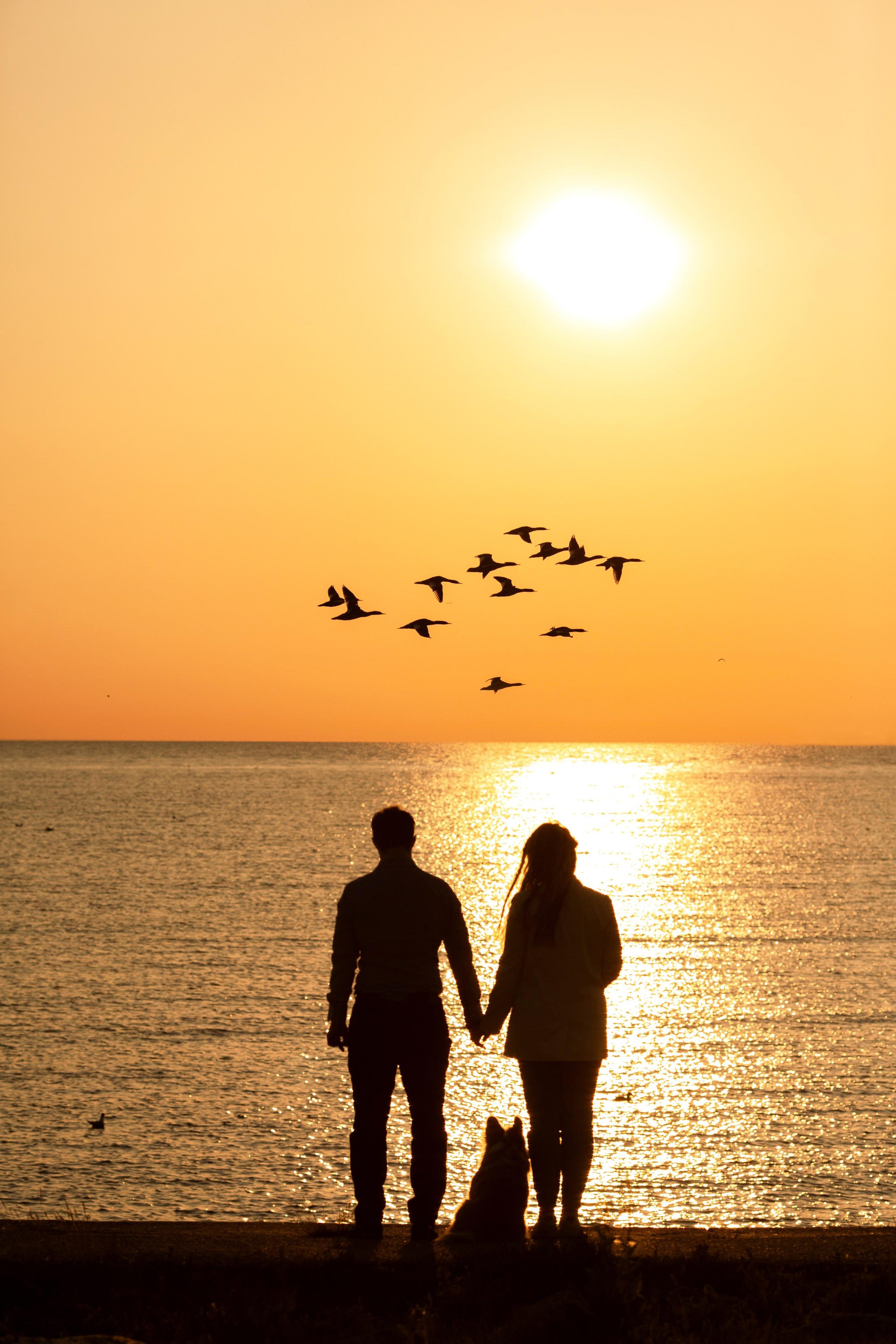 Konstantins un Elina. Jusu fotografs