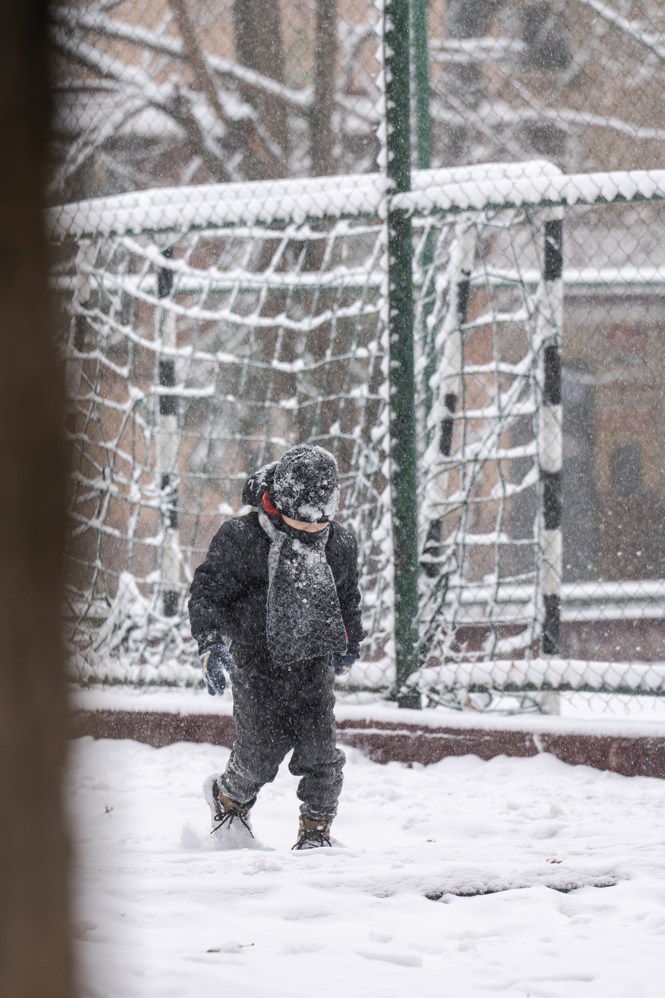 Снег. Георгий Намазов | Фотограф в Ташкенте