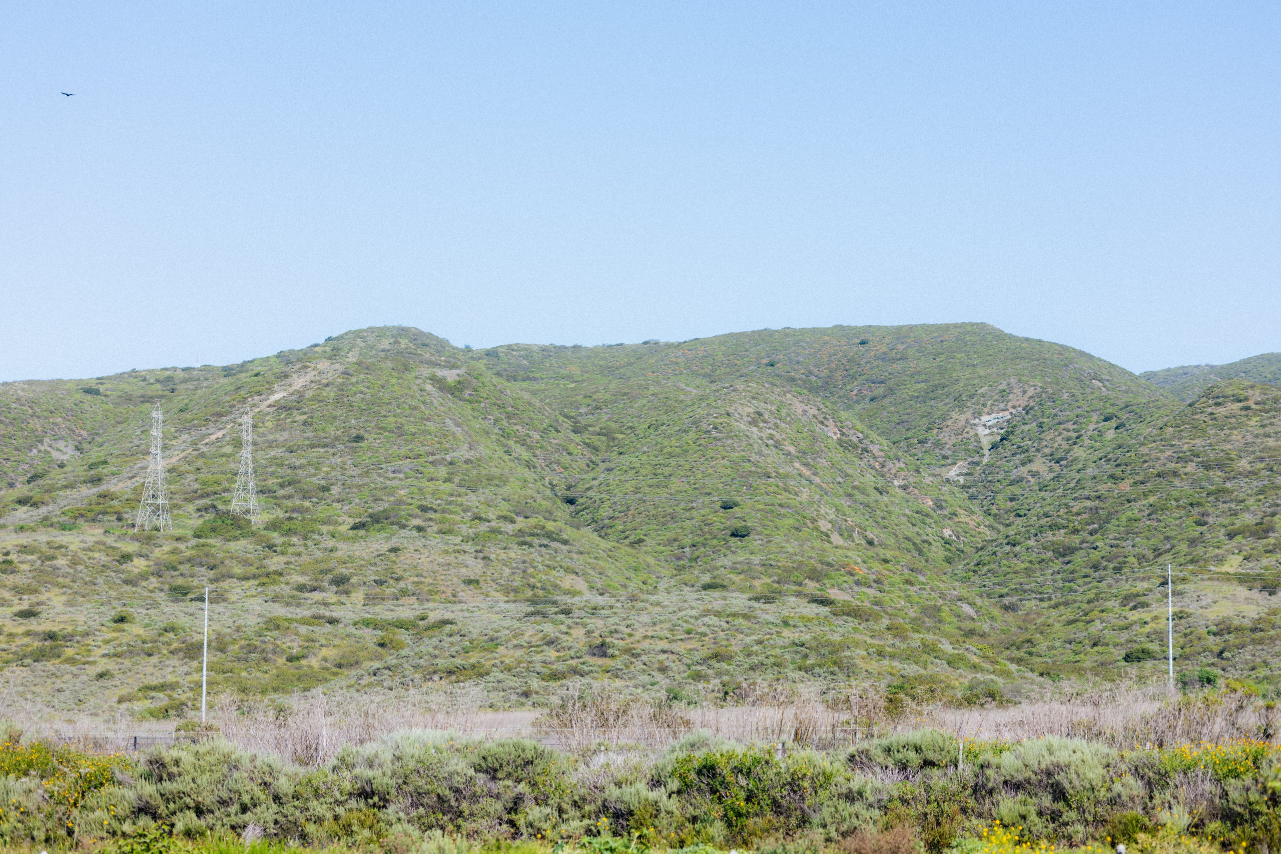 Los Angeles. Aleks.photo | Book a photoshoot