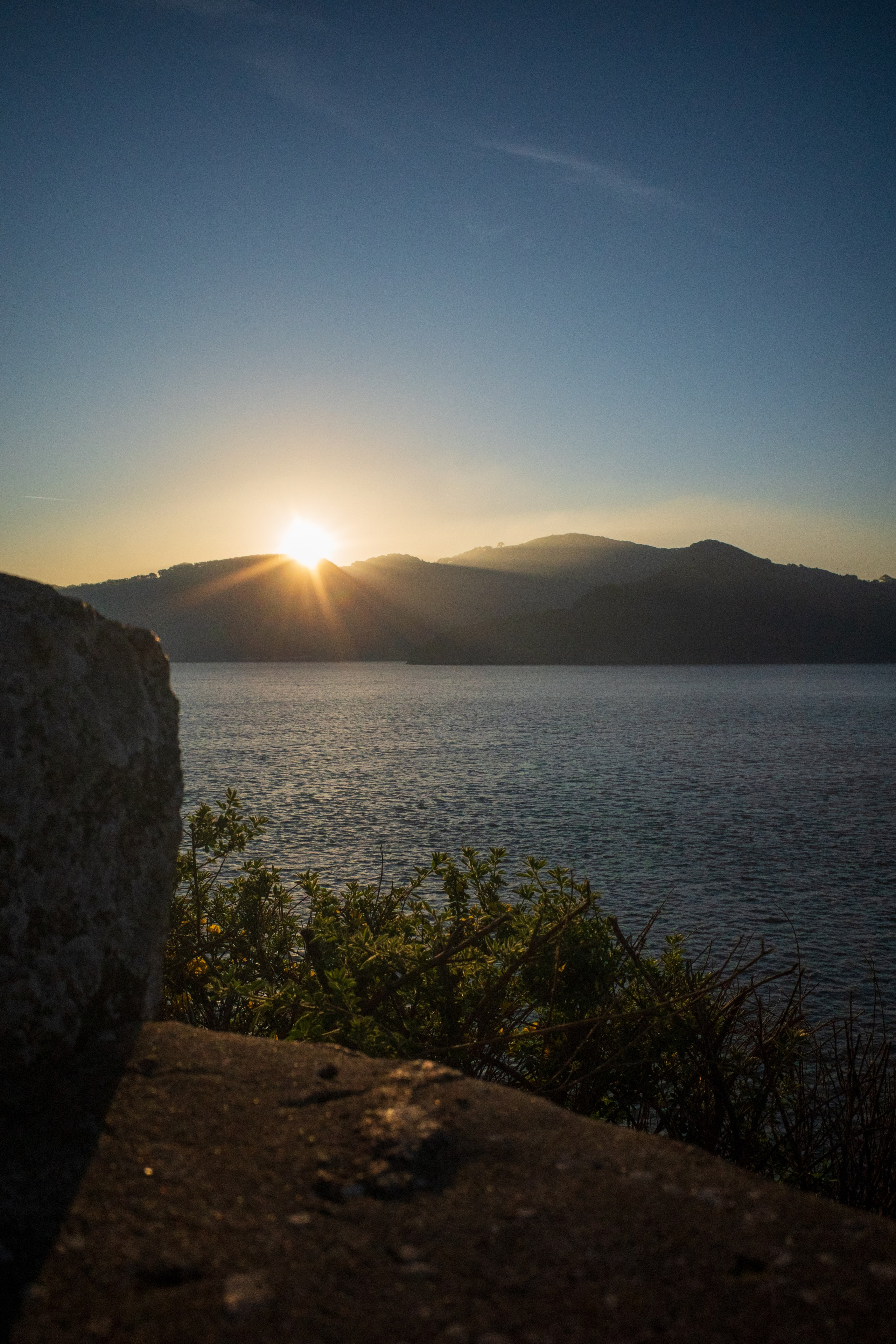 San Francisco. Aleks.photo | Book a photoshoot