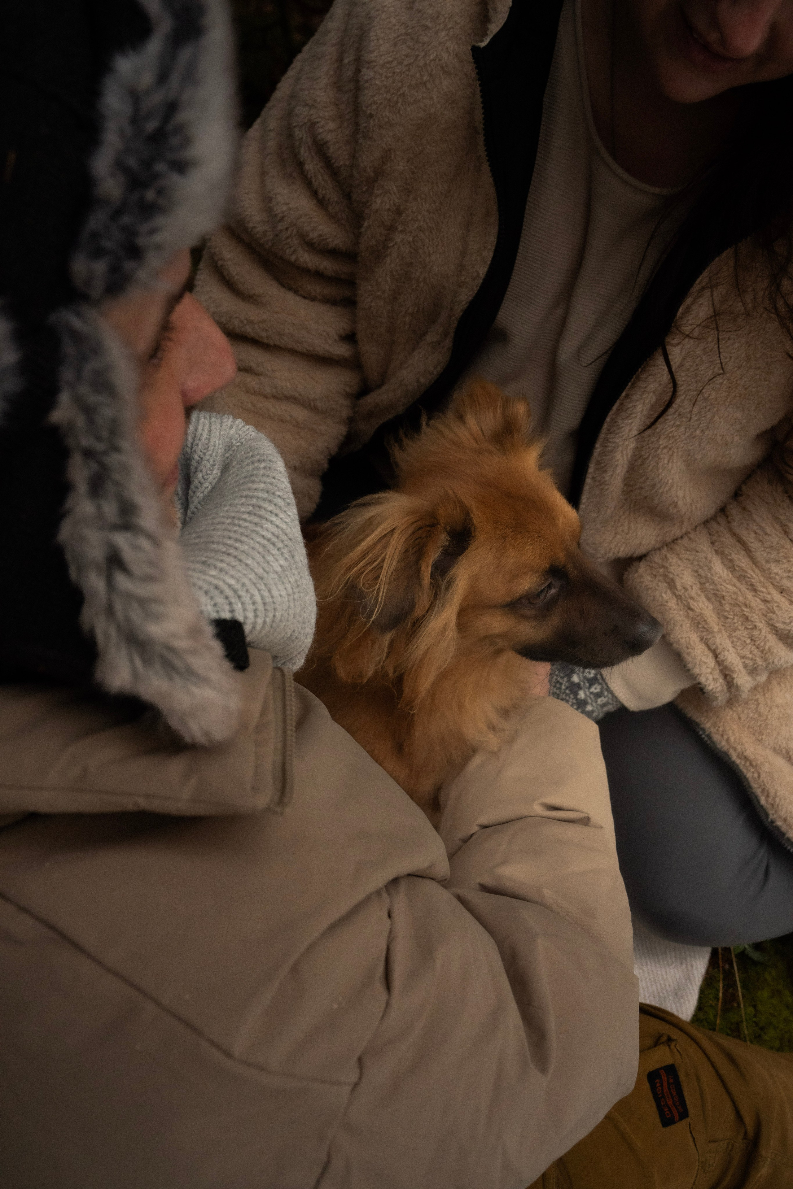 Irina and Oleg. Everwarm Photo and Video Studio
