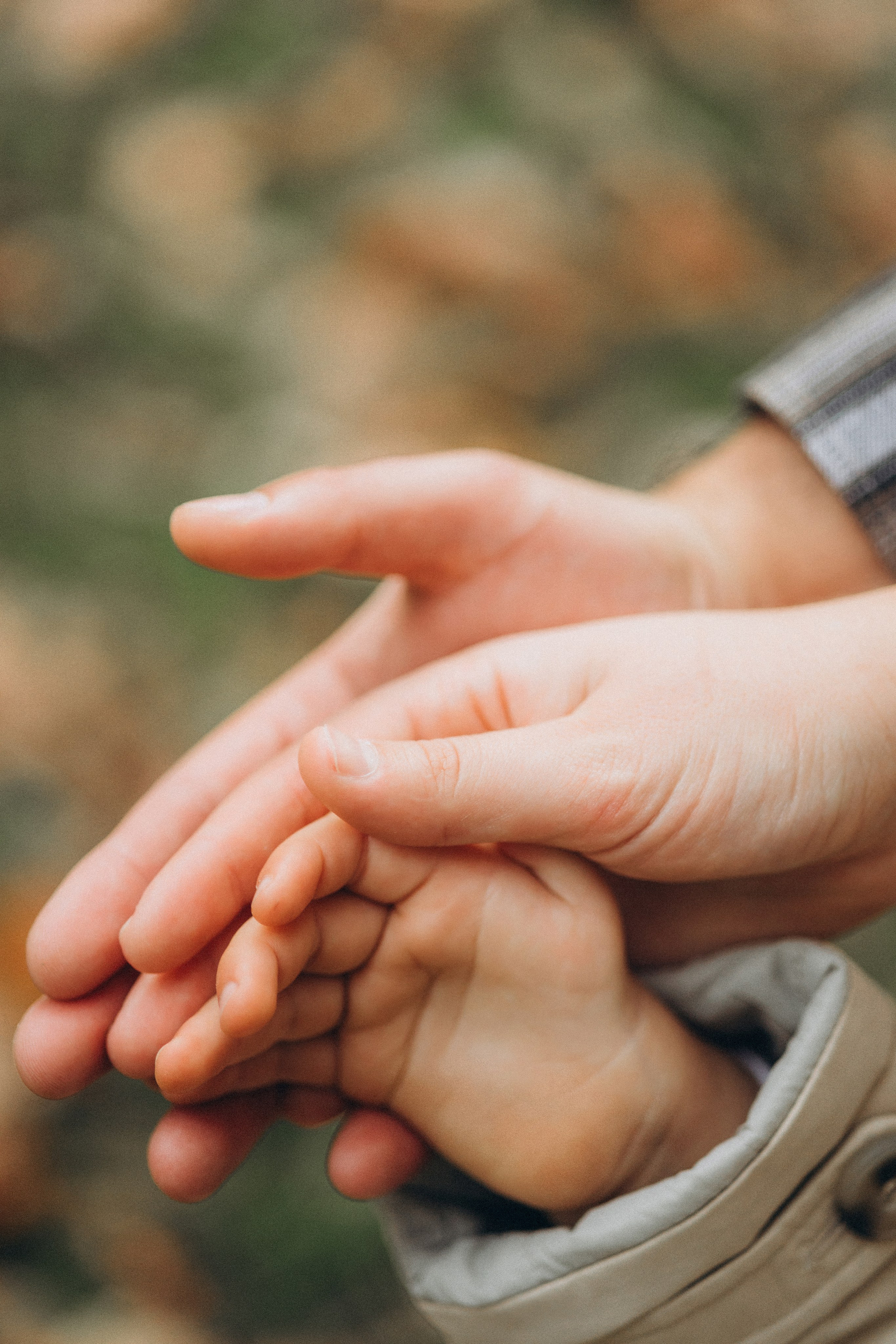 Fall Family Story. Chernenko.photography