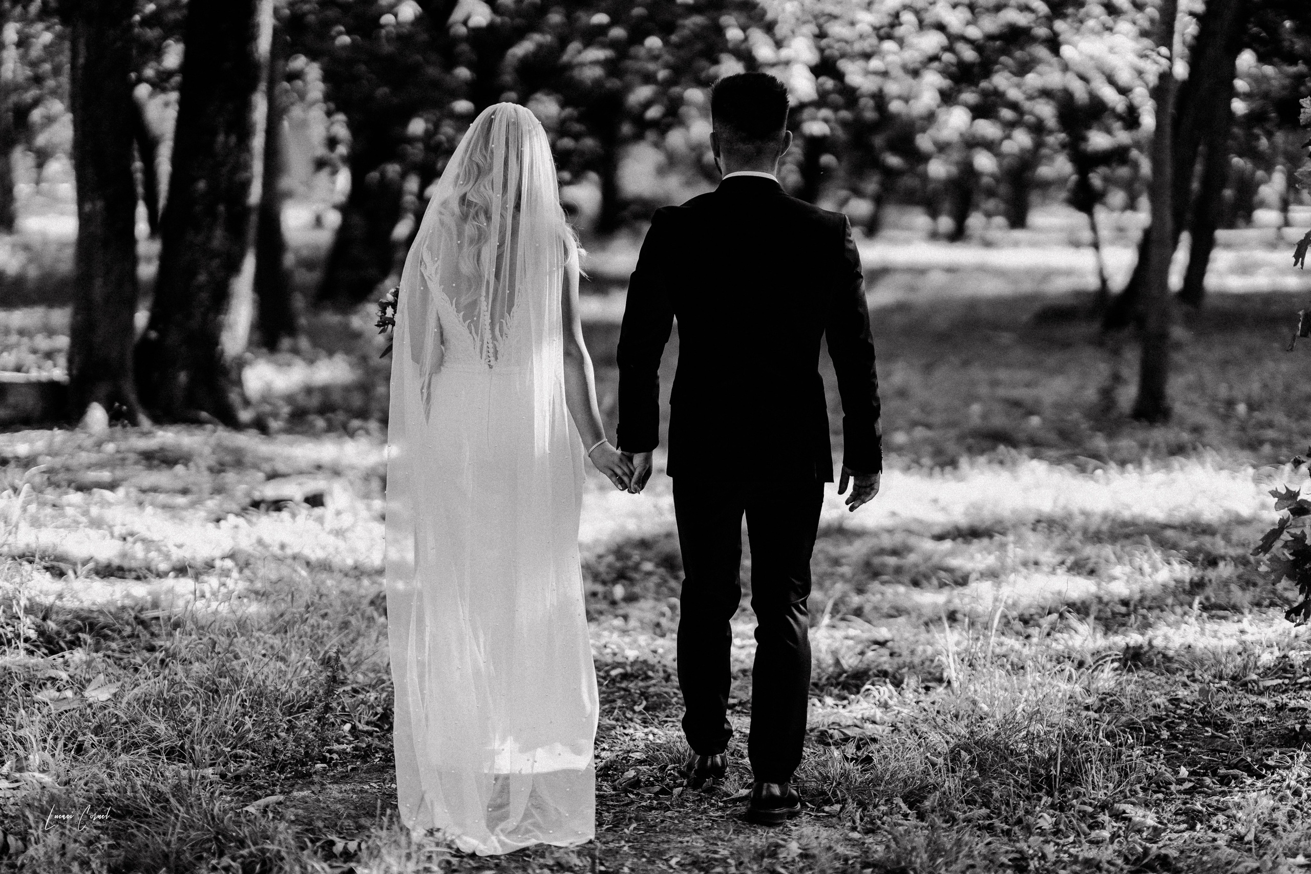 Diana & Cătălin – Nuntă clasică și rafinată. Fotograf de nuntă, corporate, botezuri, majorate și aniversări Roman, Lucaci Cornel