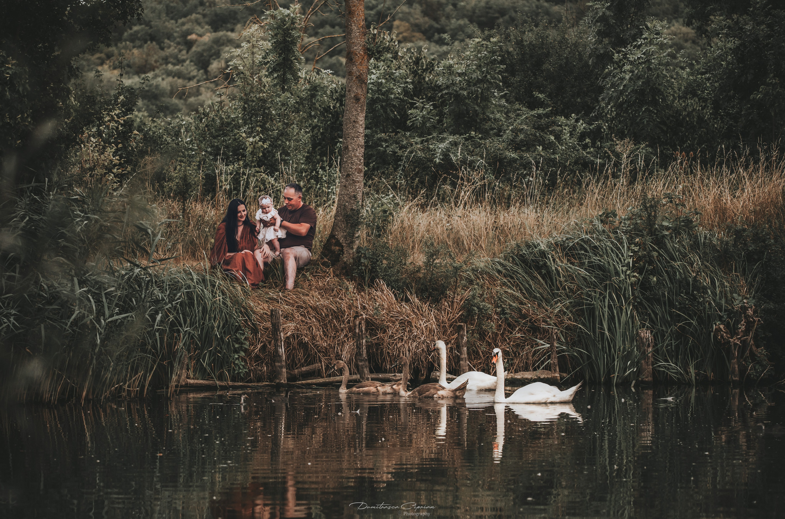 Dumitrasca Ciprian Photography