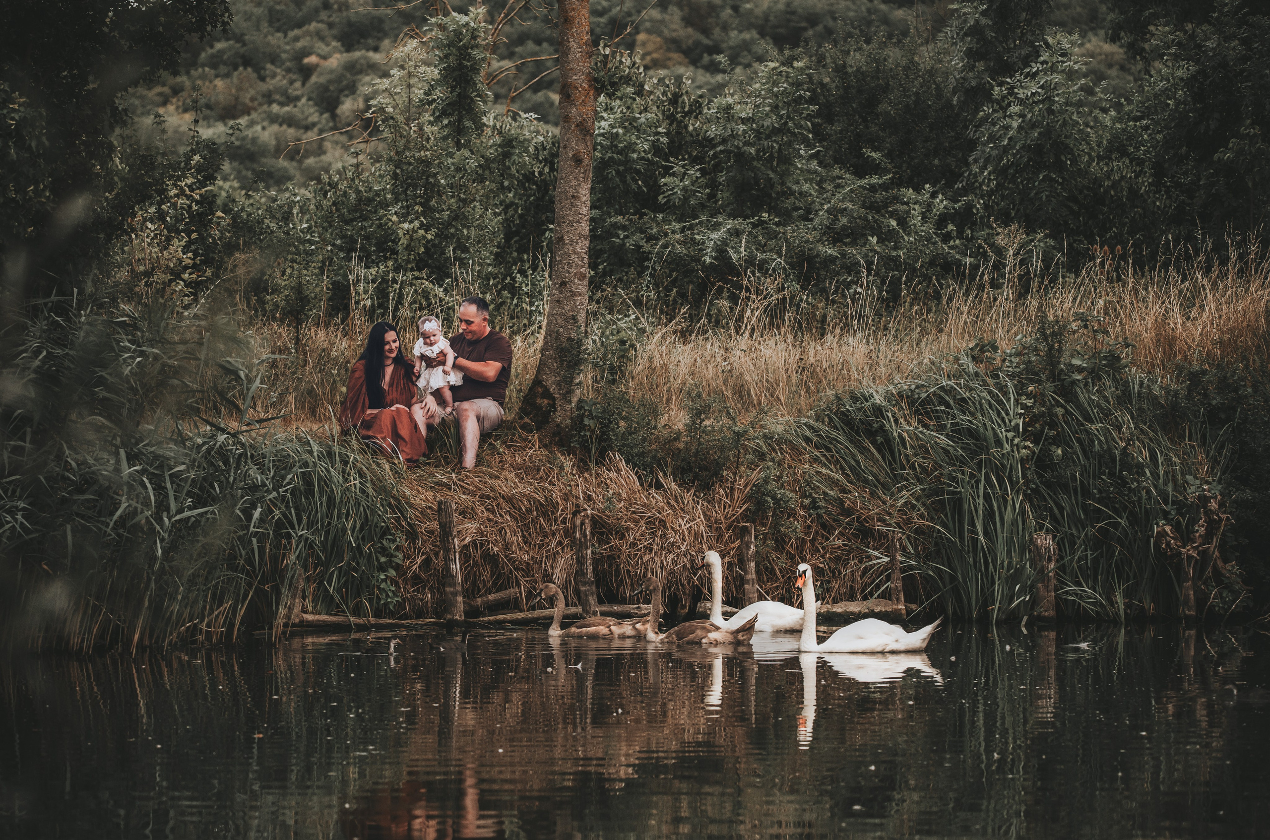 Radu & Brigitta. Dumitrasca Ciprian Photography