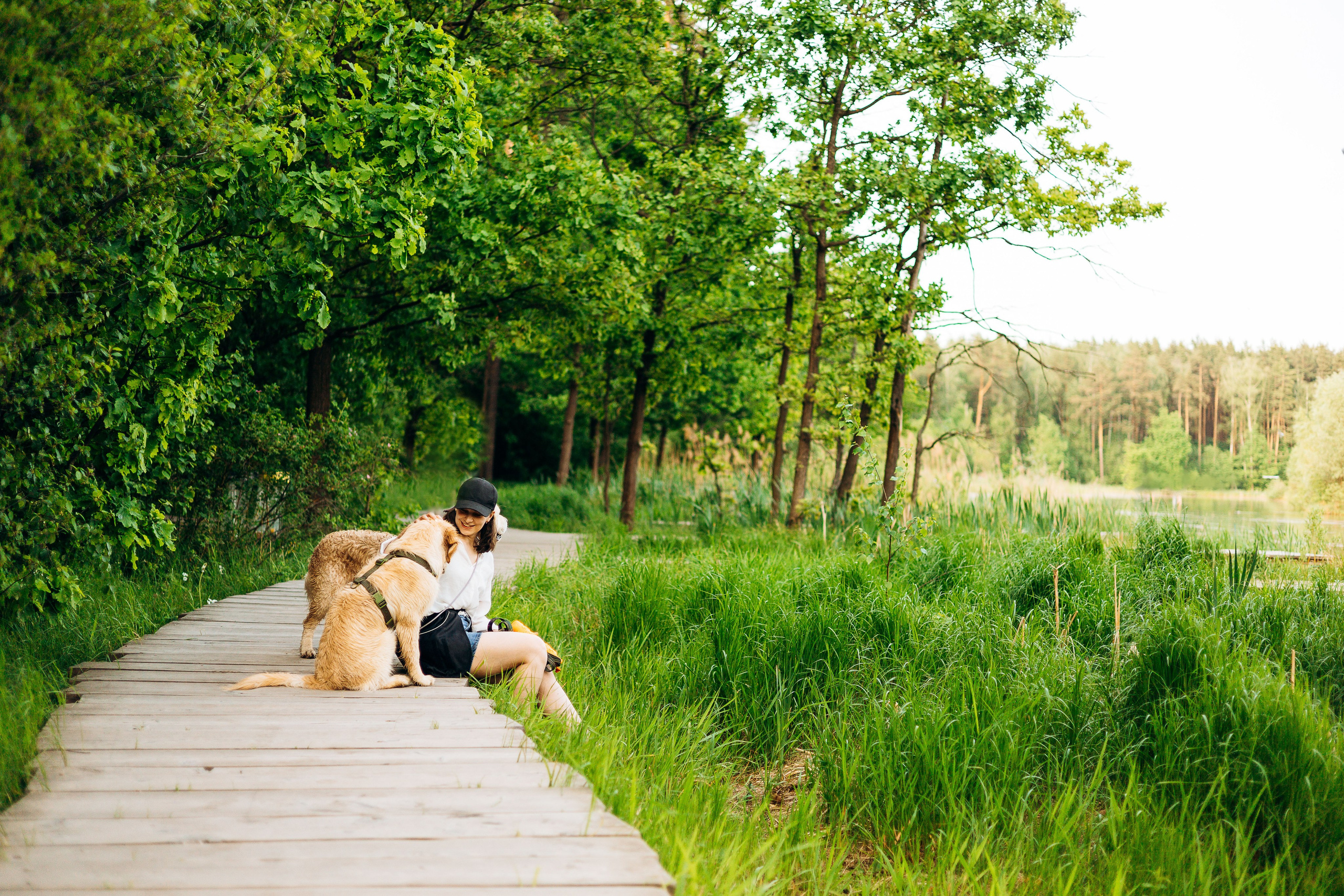 Настя, Арчи, Арагон. Фотограф-анималист | Белград