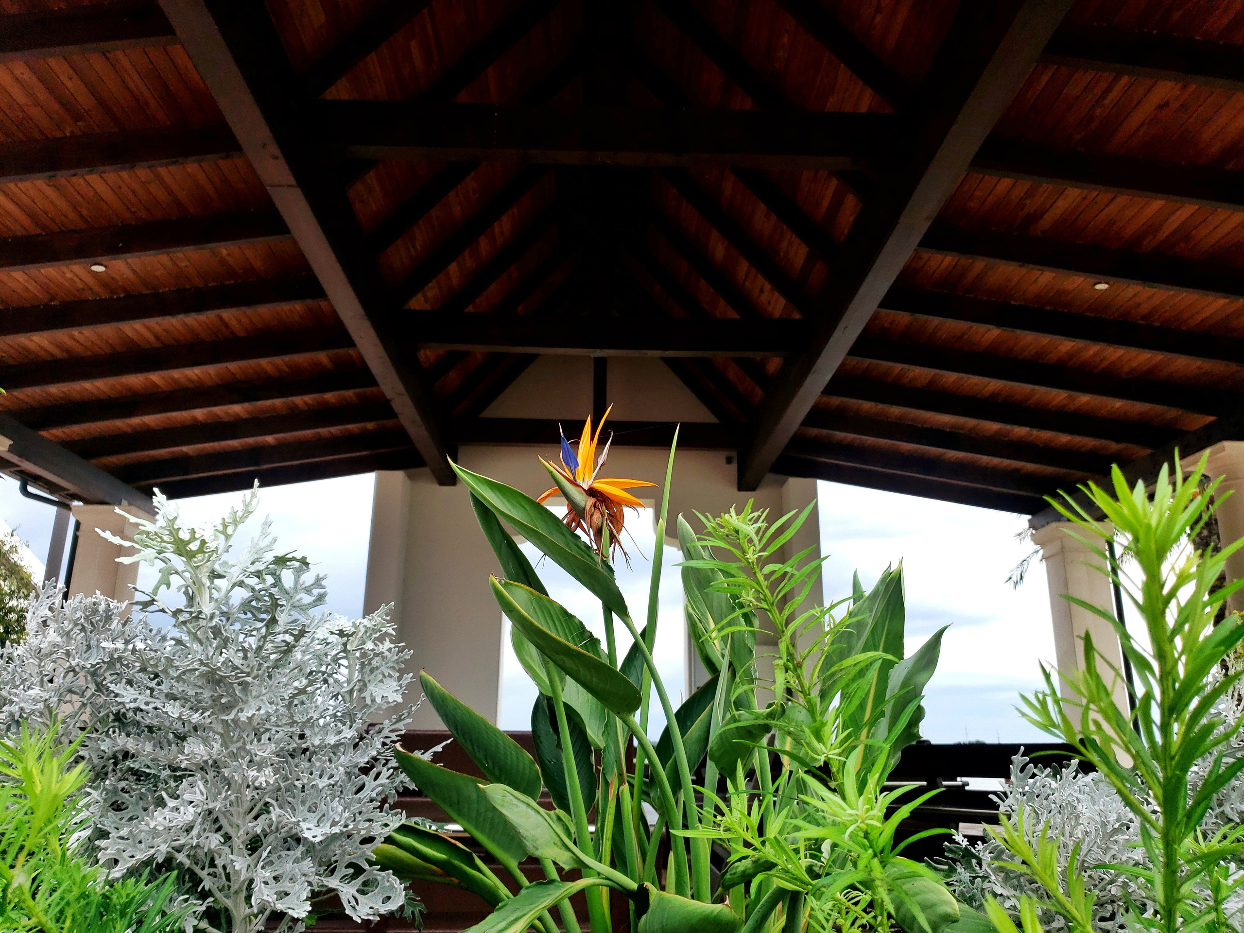 Charming Streetscape. Ксения Мирная — Фотограф, с которым вы напишете вашу историю…