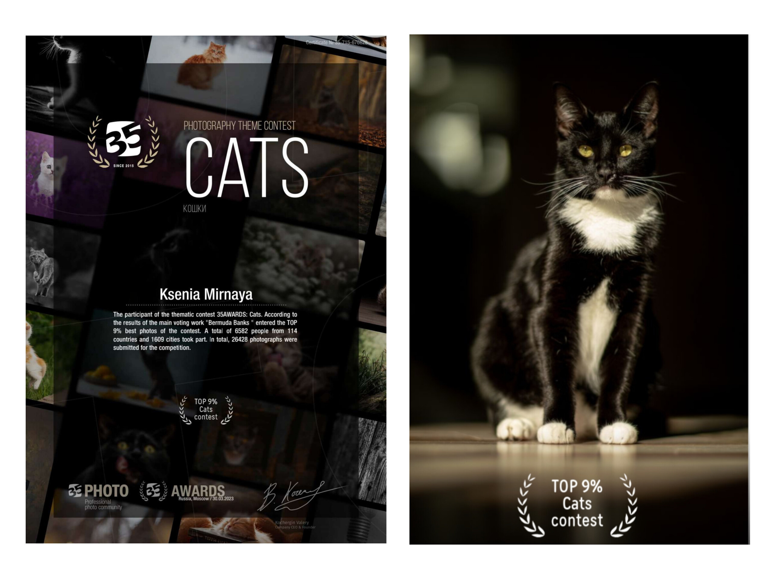 35 Awards. Ксения Мирная — Фотограф, с которым вы напишете вашу историю…