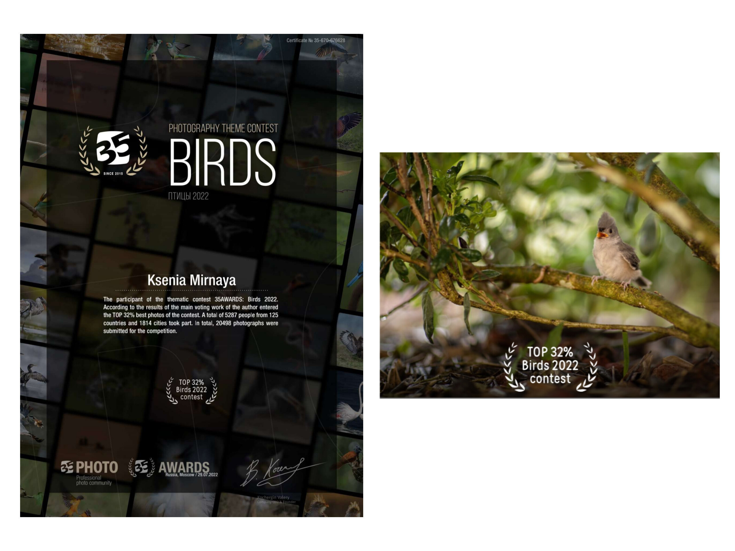 35 Awards. Ксения Мирная — Фотограф, с которым вы напишете вашу историю…