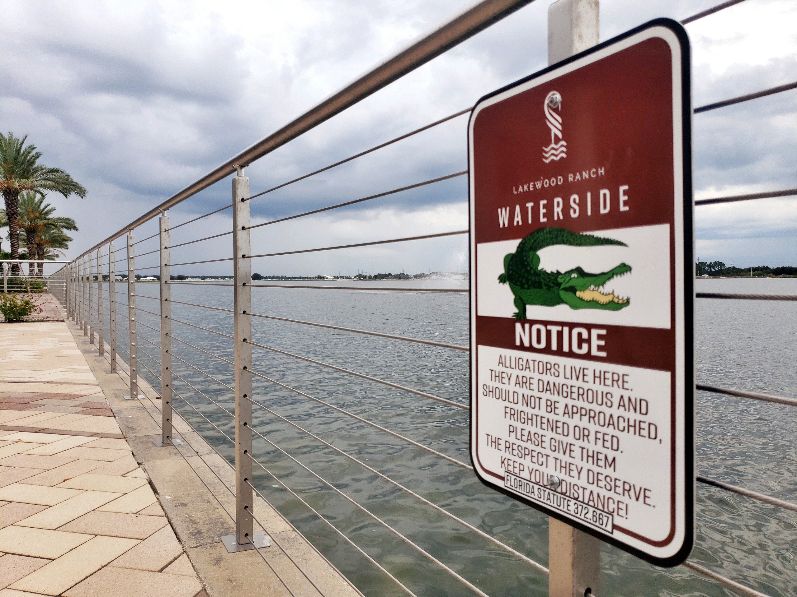 Charming Streetscape. Ксения Мирная — Фотограф, с которым вы напишете вашу историю…