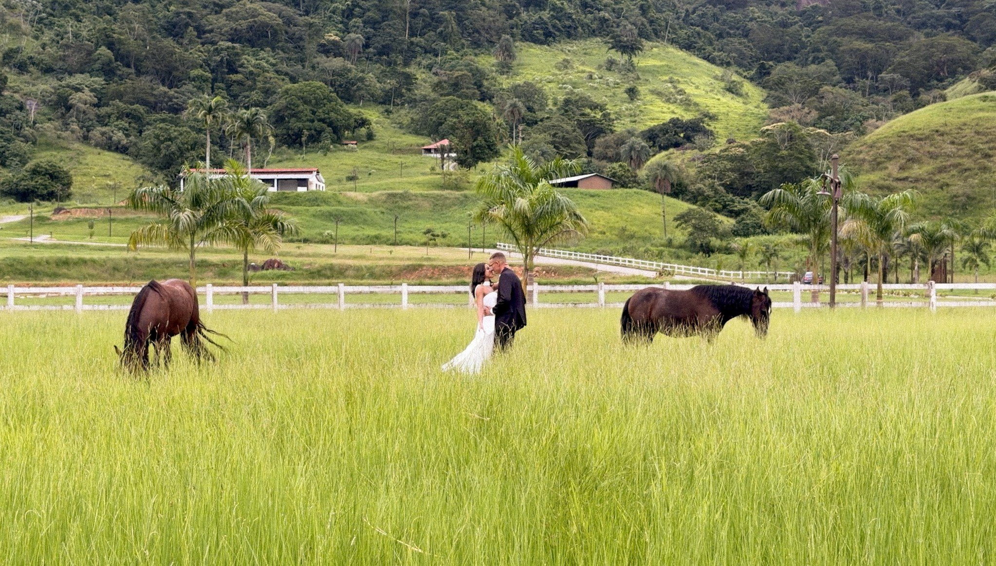 RAYSSA & MATEUS. SANTIER // cobertura de stories