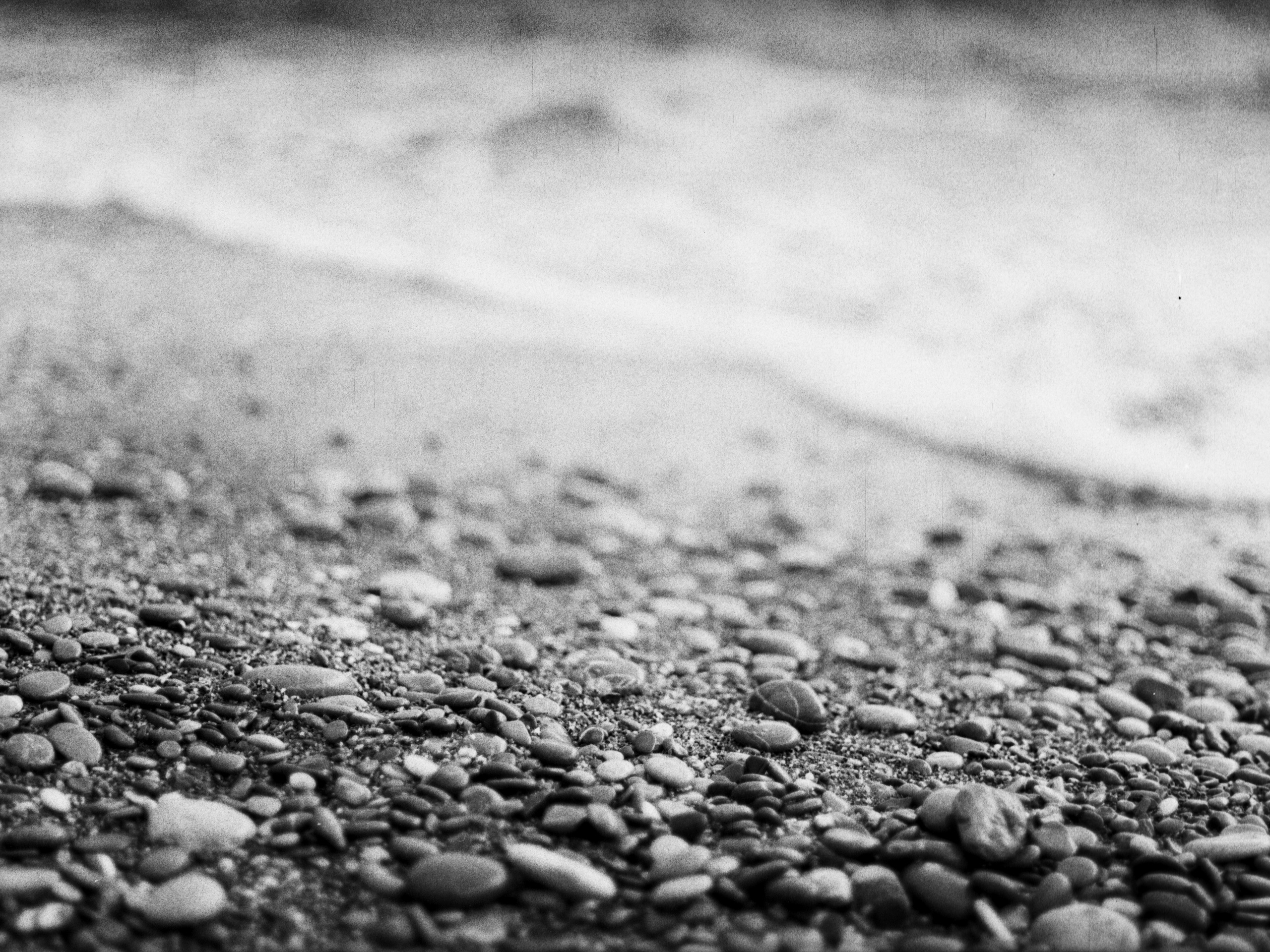 Monochrome |Barely Somewhere Studio