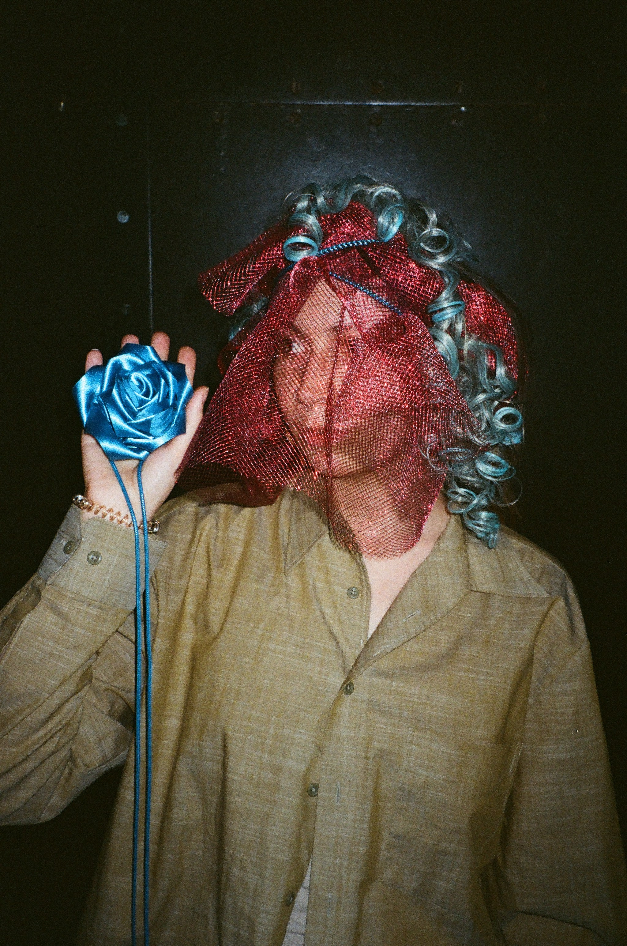 Spira mirabilis| Удивительная спираль. Alina Kugush