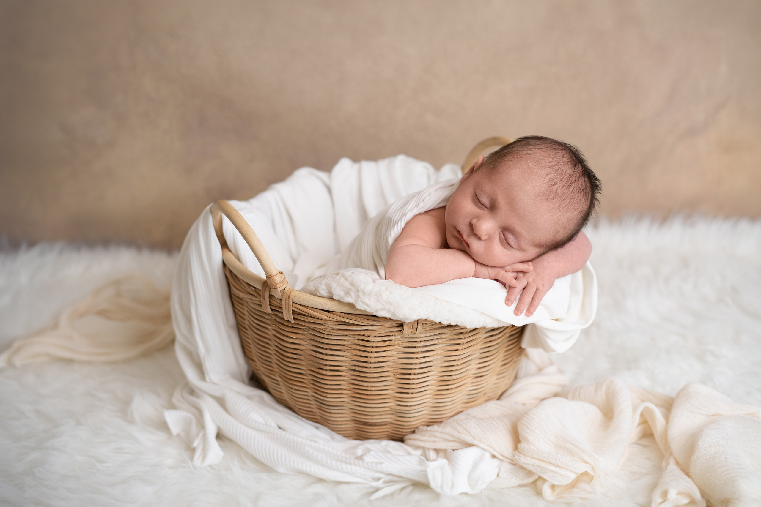 Newborn. Julia Bolgov Photography | Newborn, Family, Maternity & Milestone Photographer in Bay Area, CA