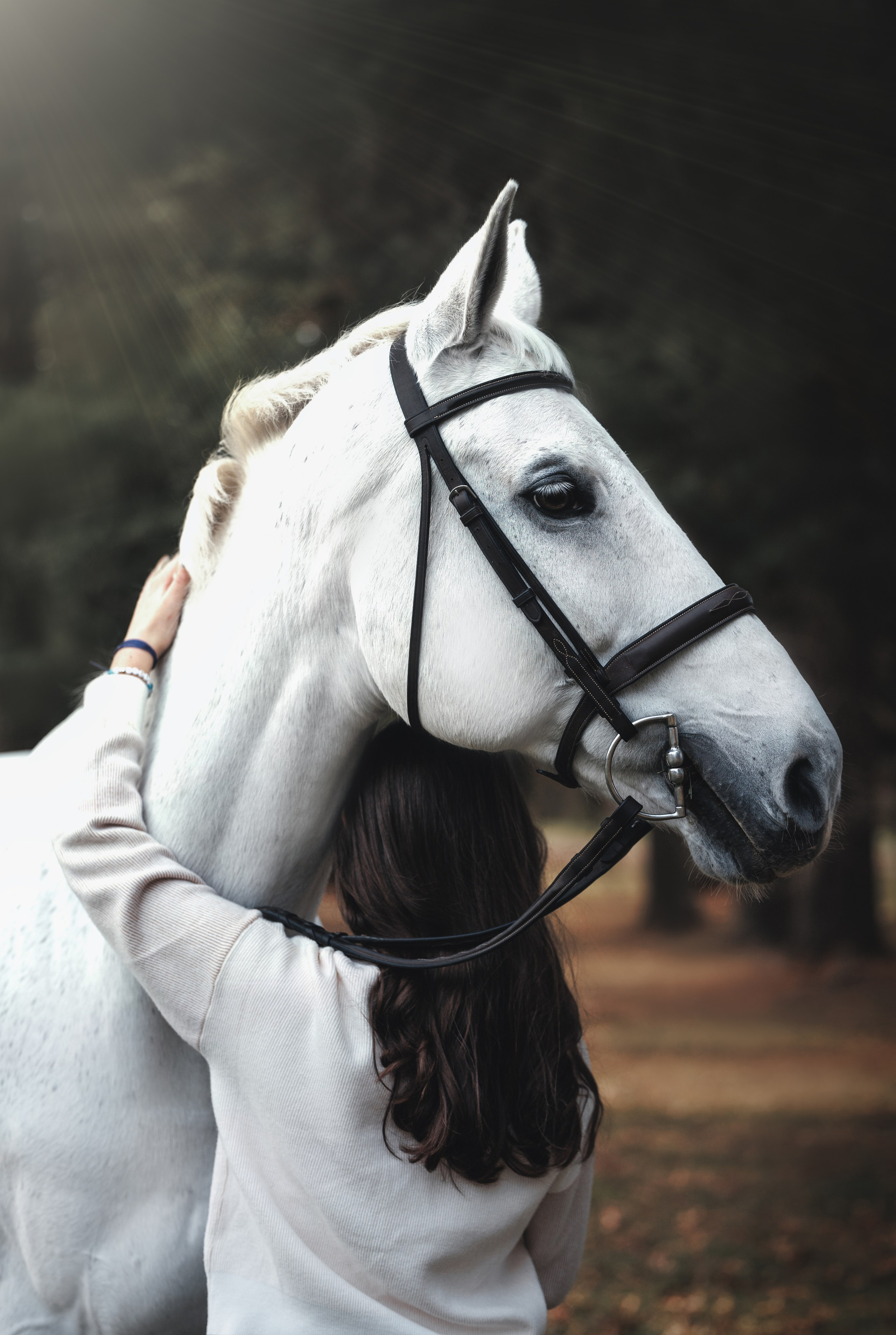 Jet Puff & Wynter. Pet Photographer Viktoriya Aleshenko