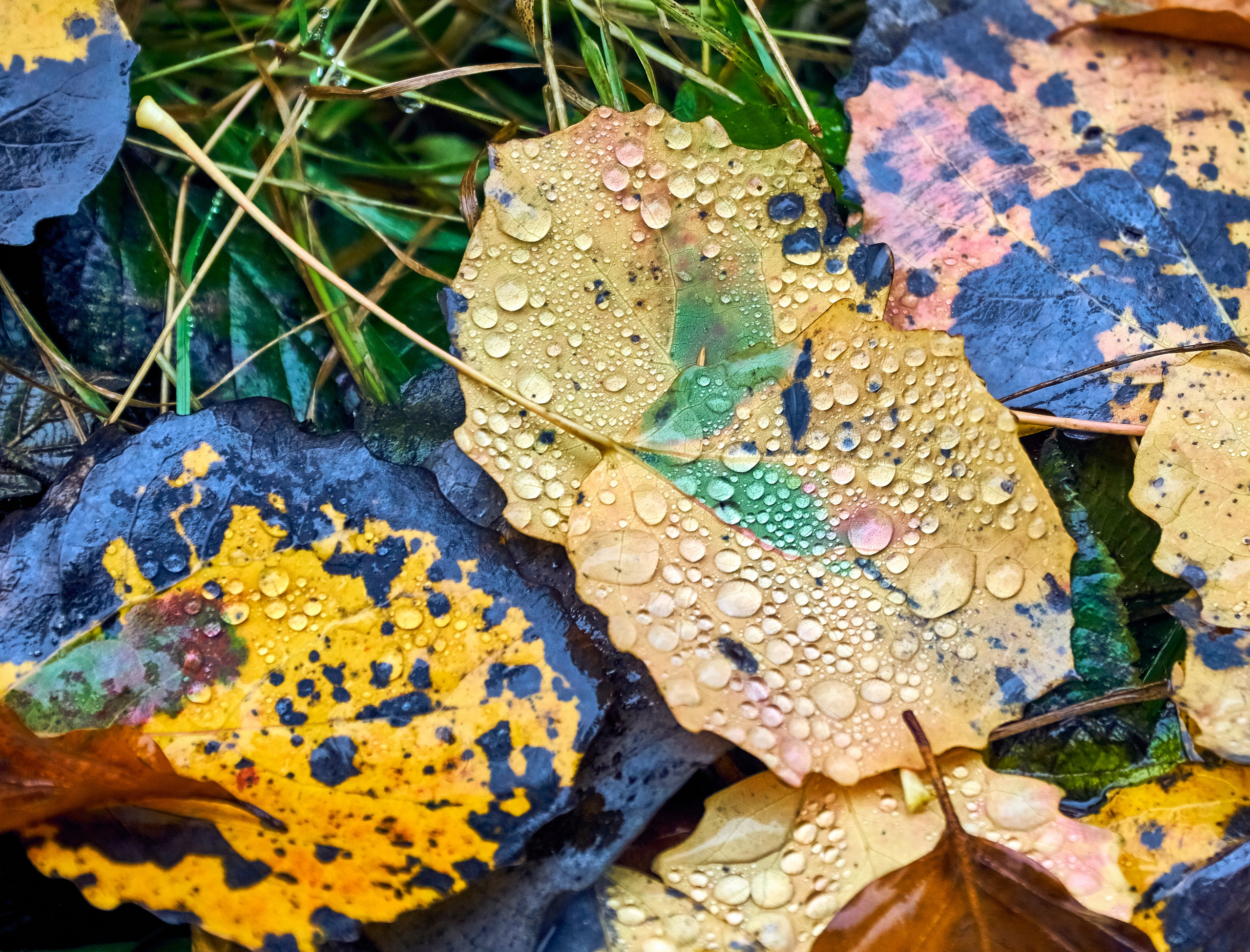 Бещады — здесь остановилось время. Андрей Шипилов — Фотография & Видеография