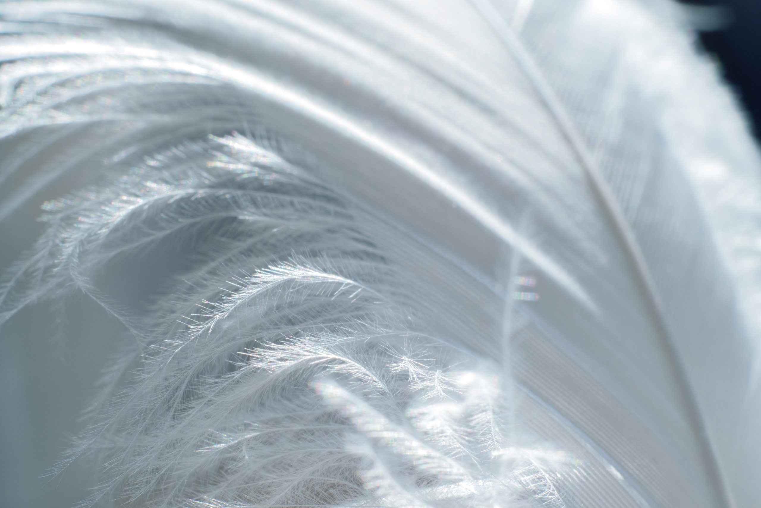 AMORE AL ARTE. Schwarz-weiß Fotografie in Münster. Fotografin Viktoria Roschen