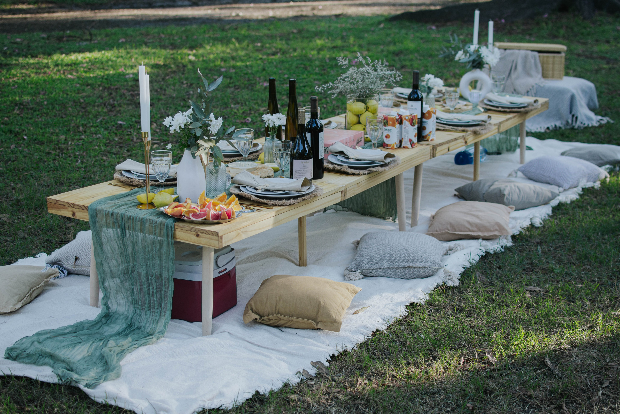 Birthday picnic. Reportage photofgraphy. Buenos Aires. Photographer @elmirkami in the city of Buenos Aires