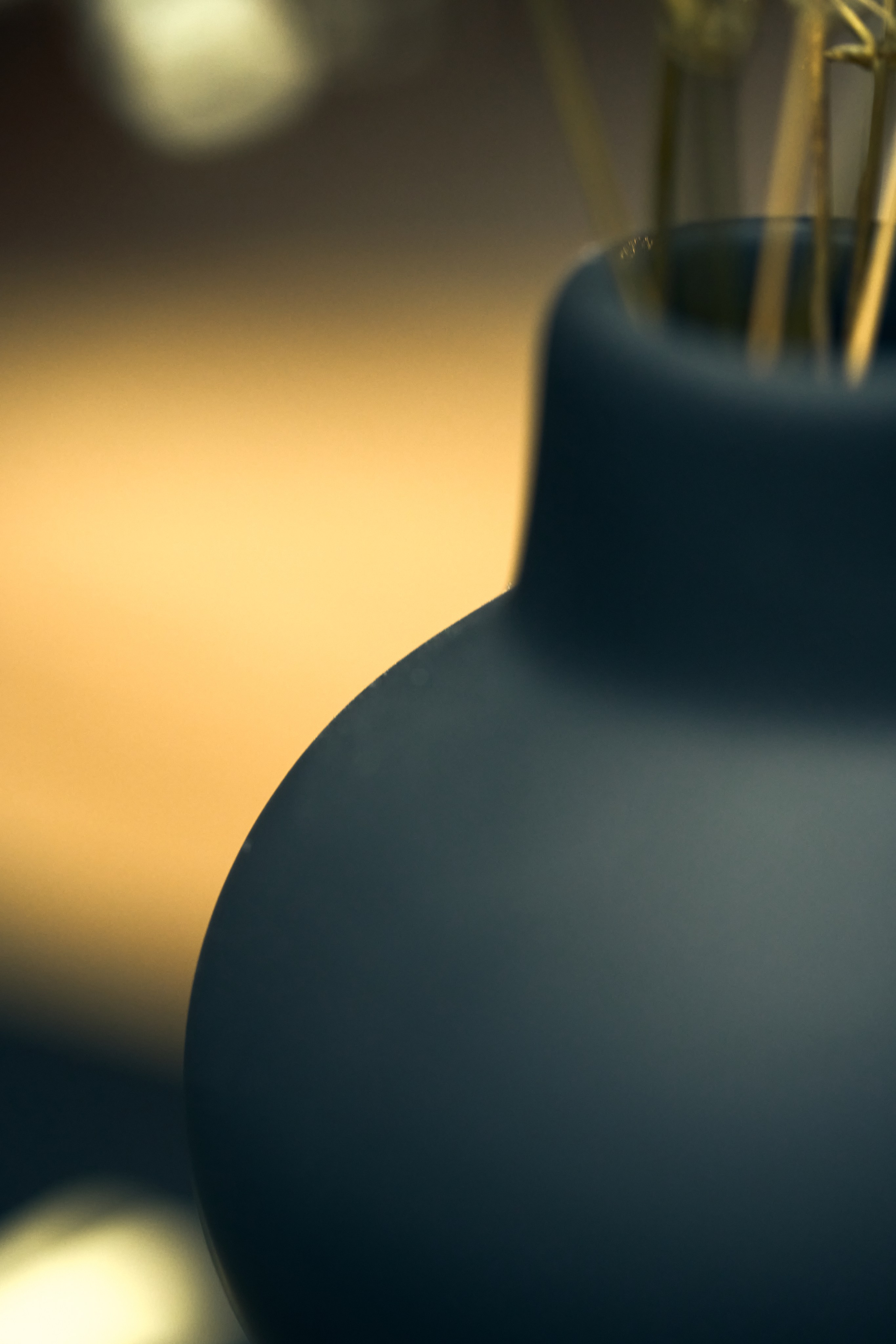 Macro photo. Yoli Park